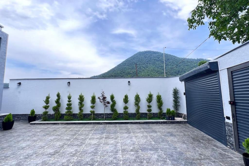 Central location and Mountains View
