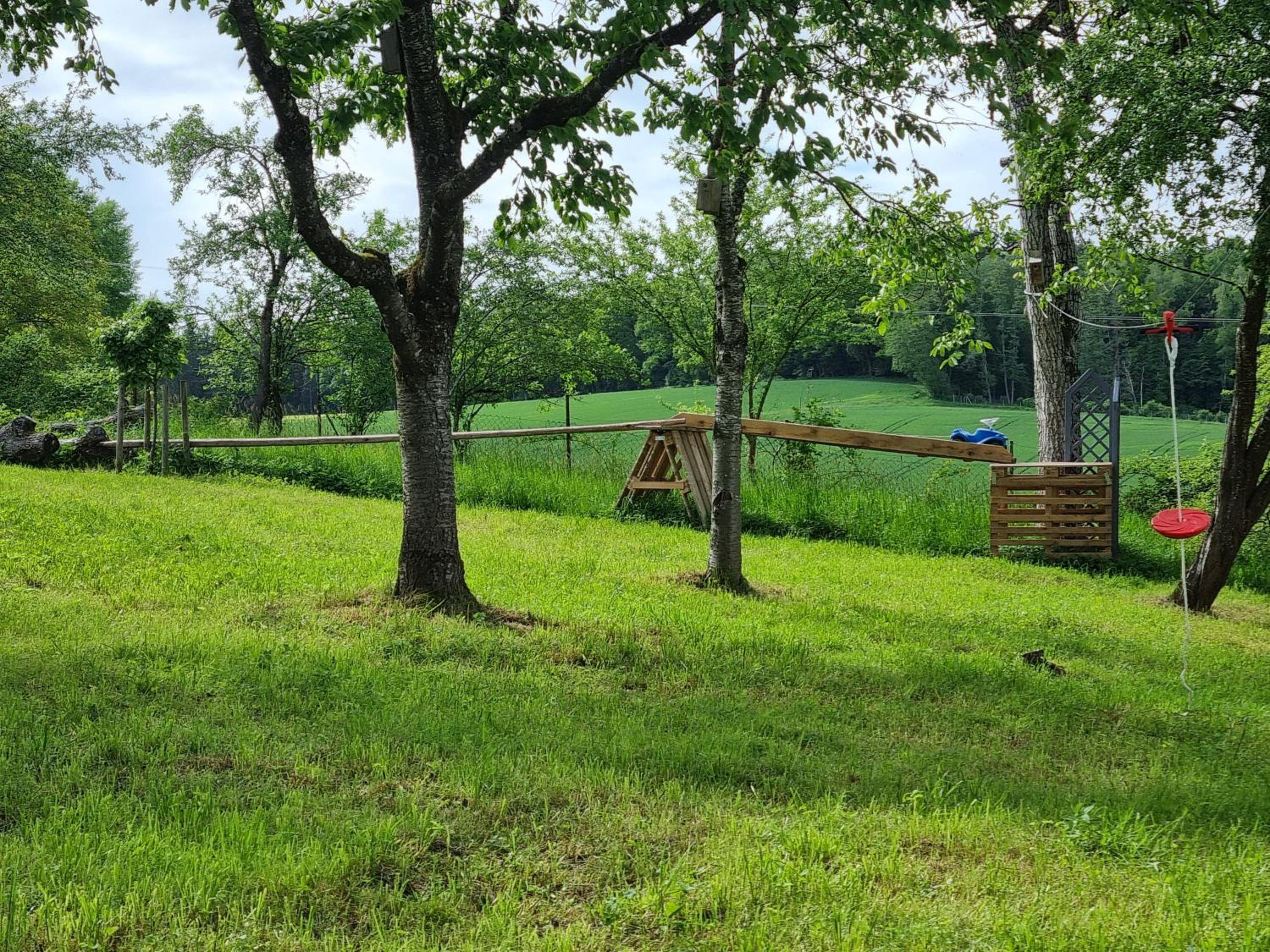 Ferienhaus Ederhof - Idyllischer Vierseithof, kinder- und hundefreundlich, Referenzen auf FeWo-direkt nachlesbar