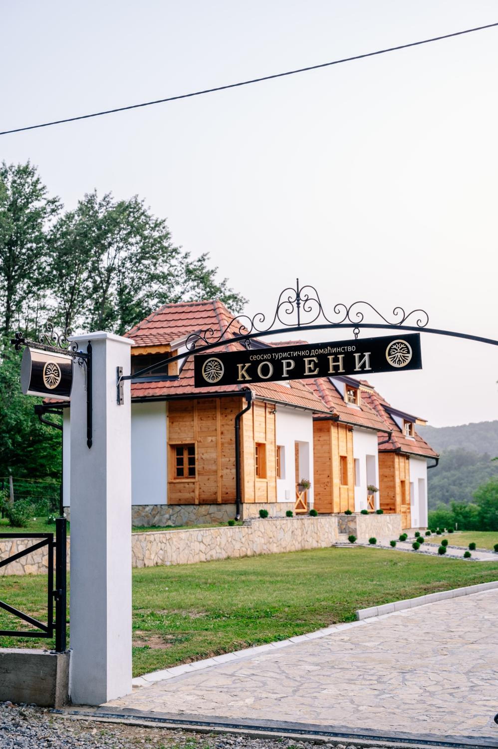 STD Koreni