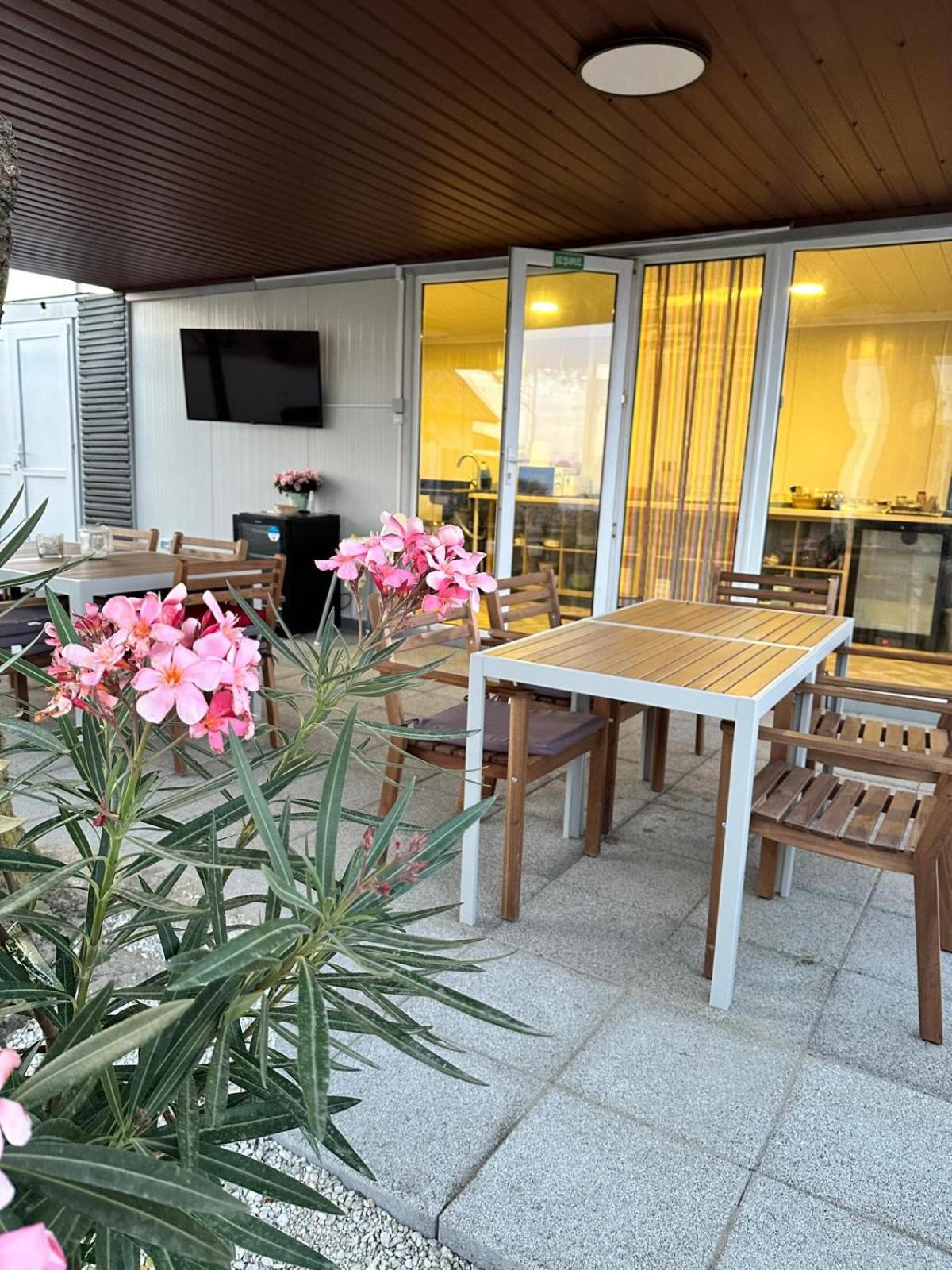 Halta Pescăruş Accommodation