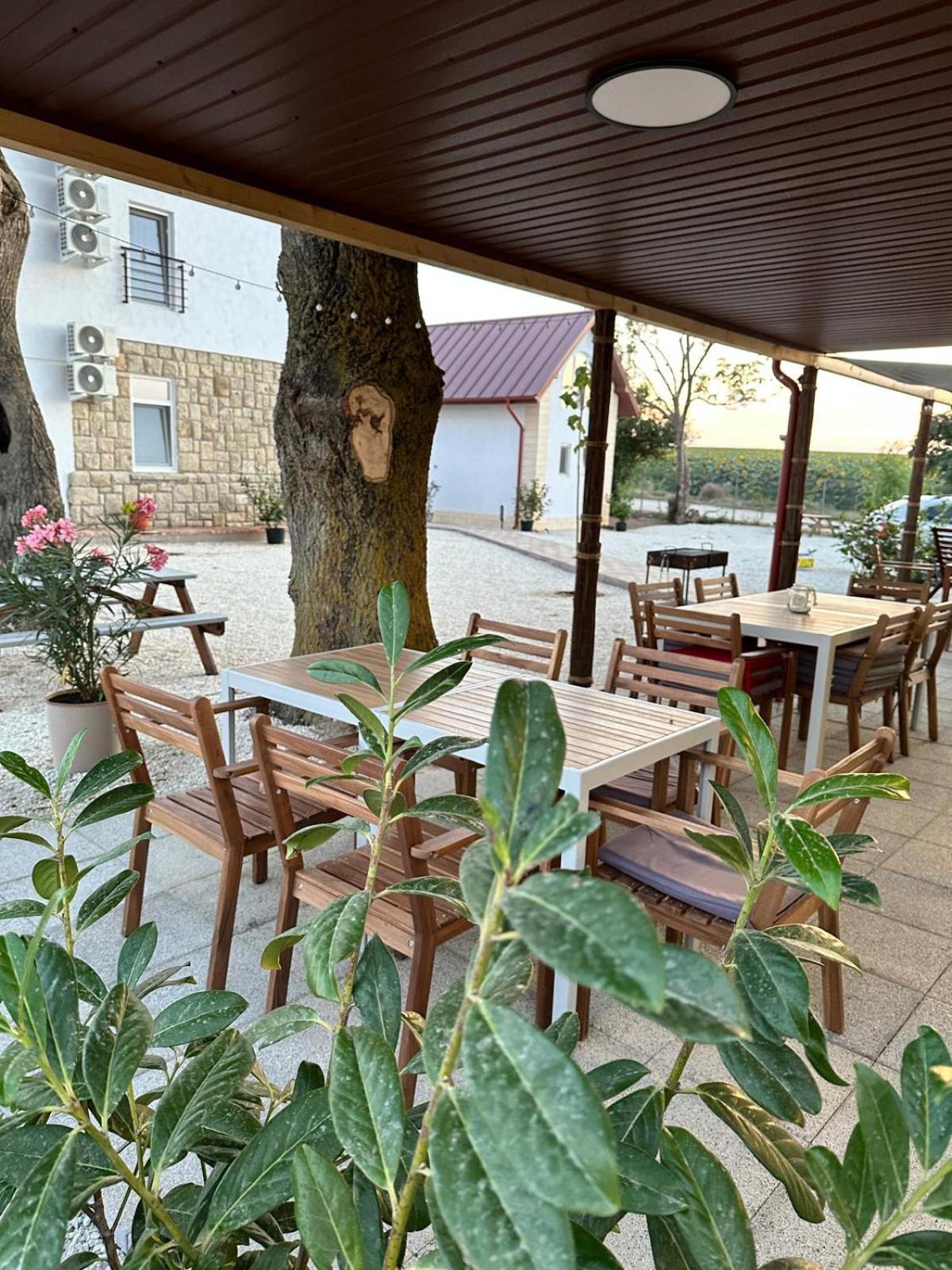 Halta Pescăruş Accommodation