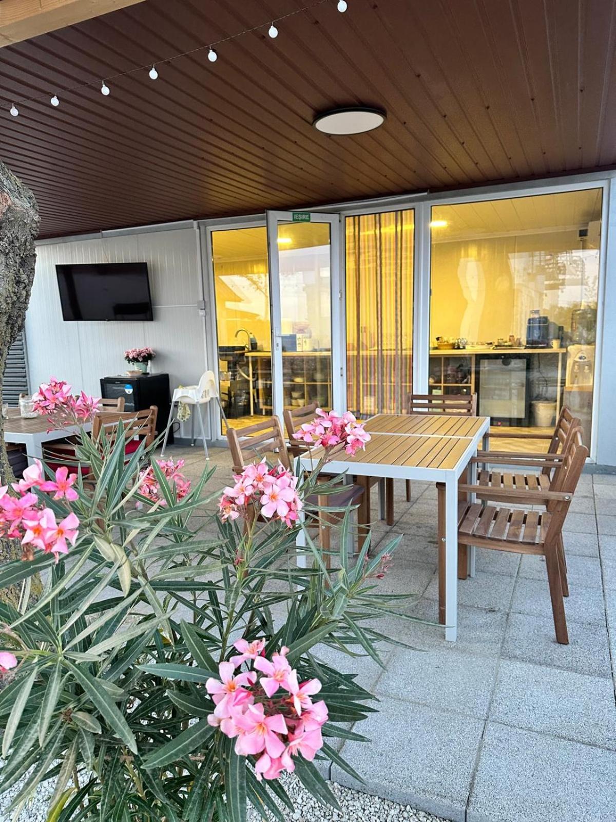 Halta Pescăruş Accommodation