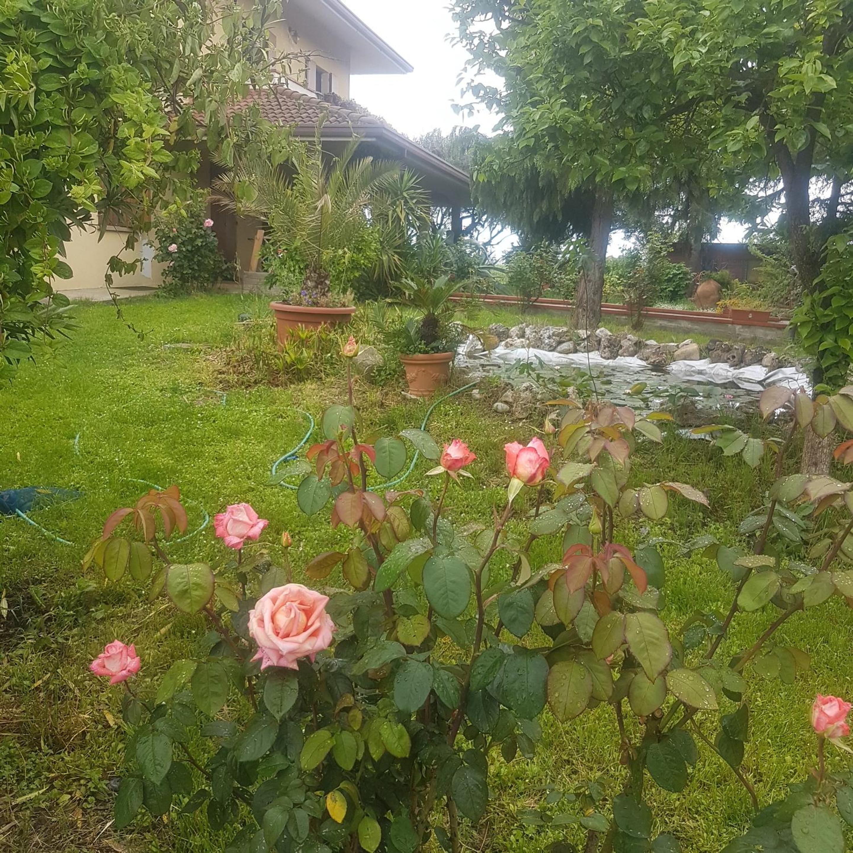 Charming apartment in San Mauro Pascoli 75 m² with garden photo 4