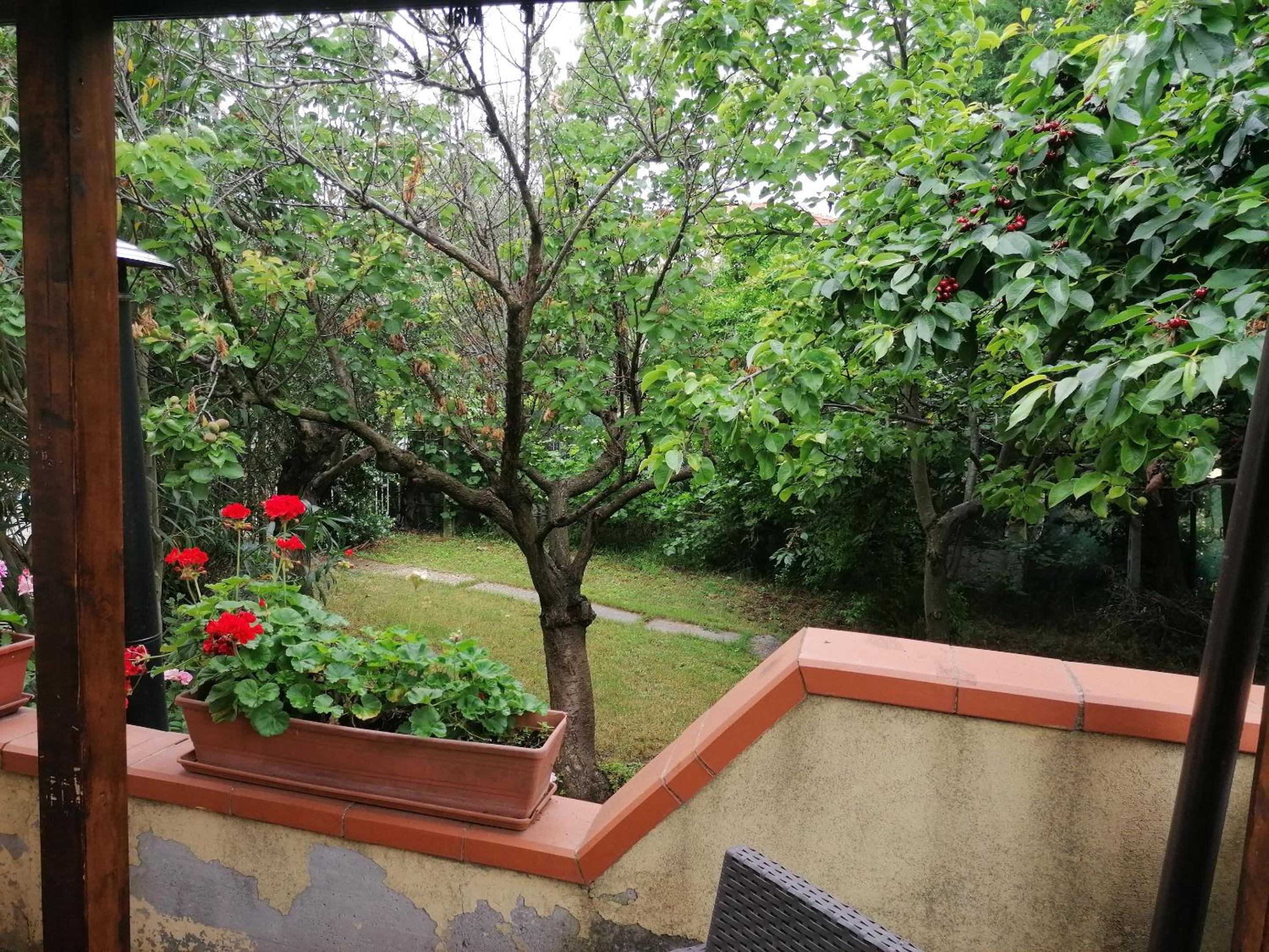 Photo 23