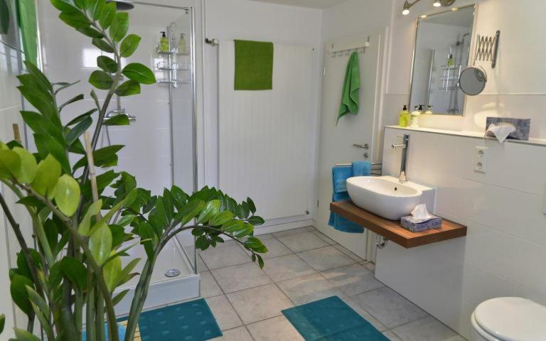 Schönes Ferienhaus mit Garten in Friedrichshafen am Bodensee