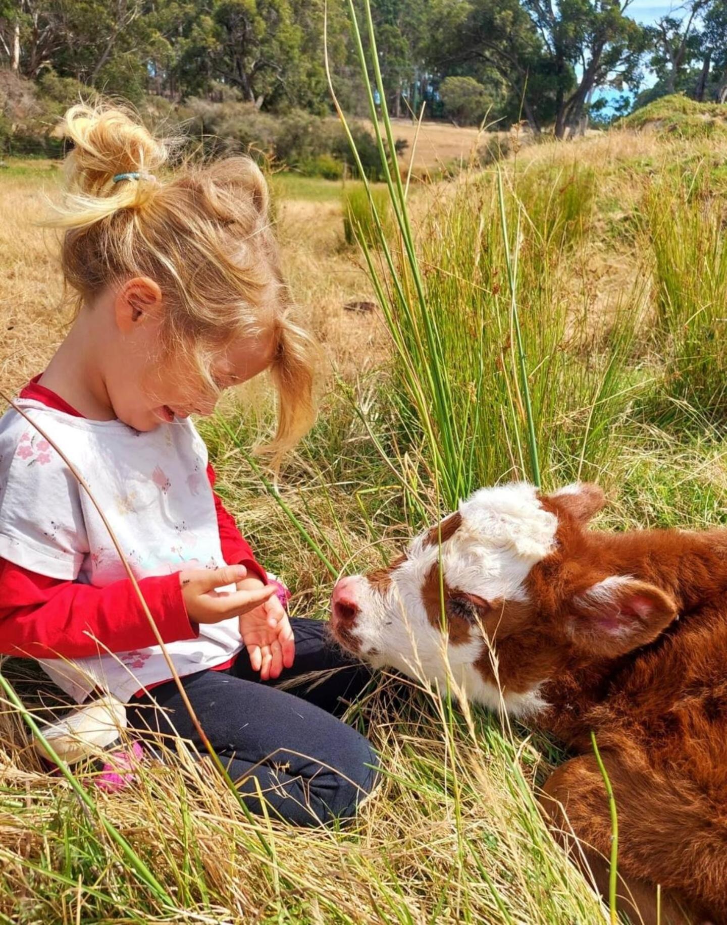 2 bedroom farm stay in Metricup at Qwack's Farm