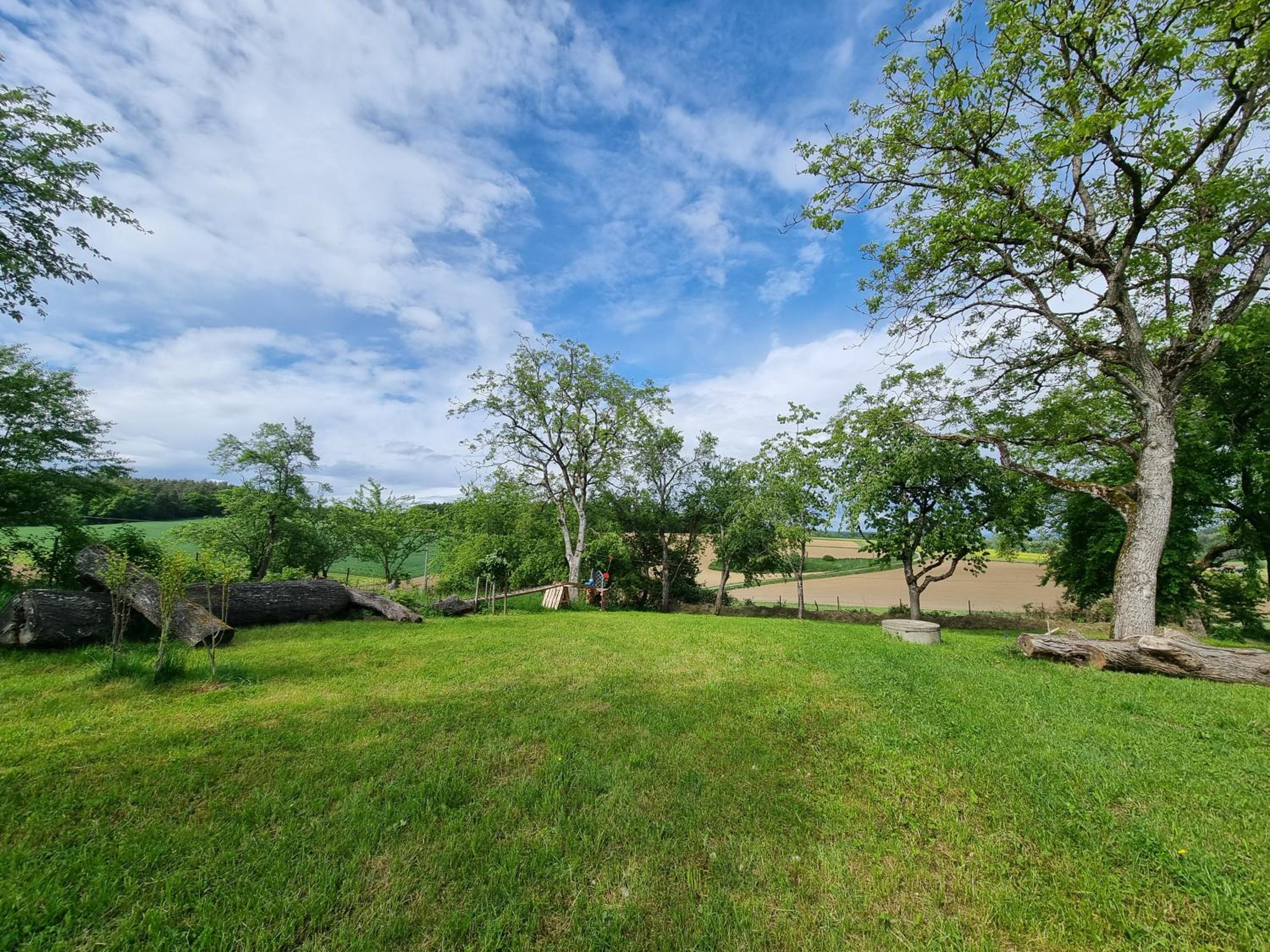 Ferienhaus Ederhof - Idyllischer Vierseithof, kinder- und hundefreundlich, Referenzen auf FeWo-direkt nachlesbar