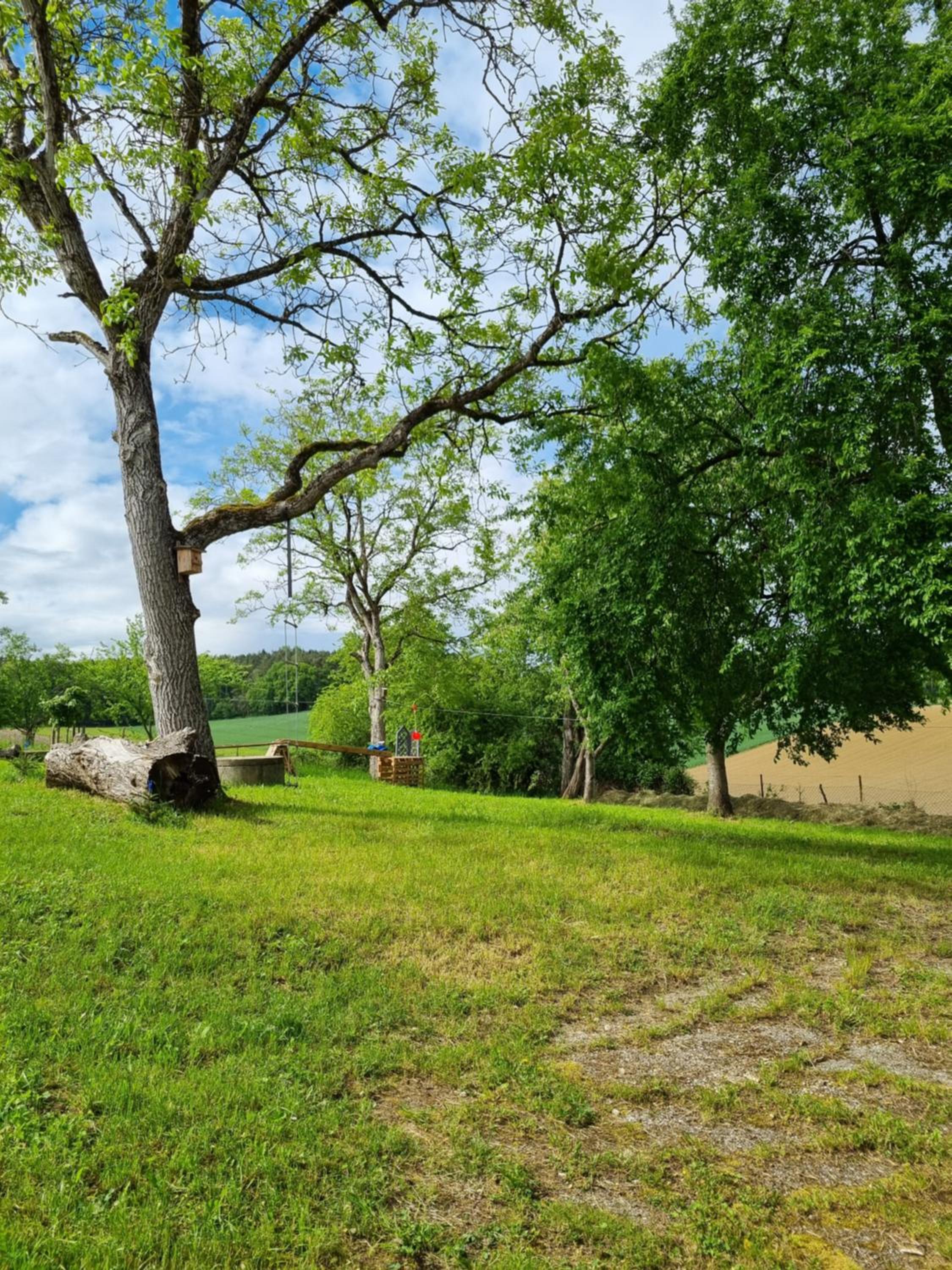 Ferienhaus Ederhof - Idyllischer Vierseithof, kinder- und hundefreundlich, Referenzen auf FeWo-direkt nachlesbar