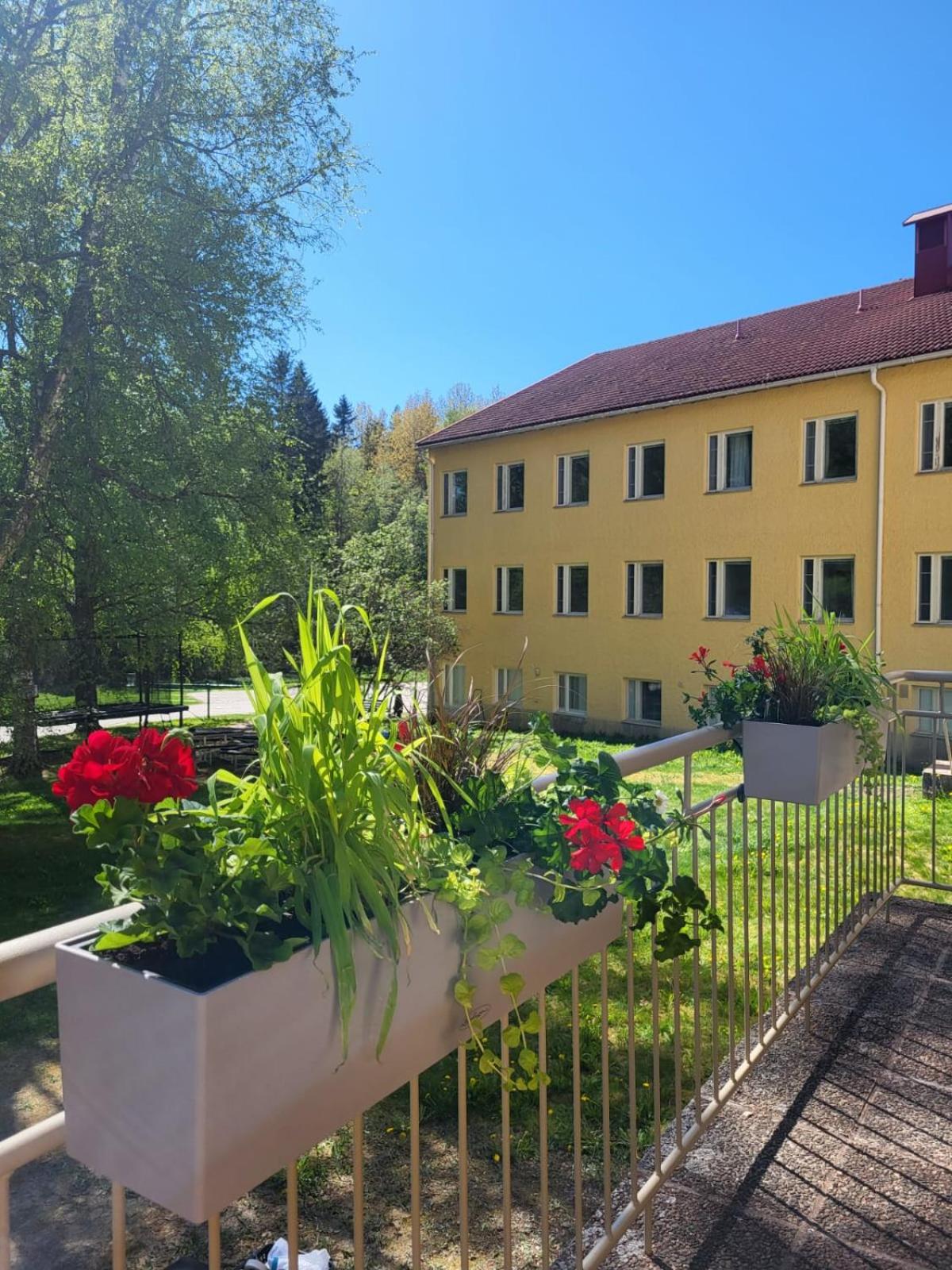 EnjoyNature Resort