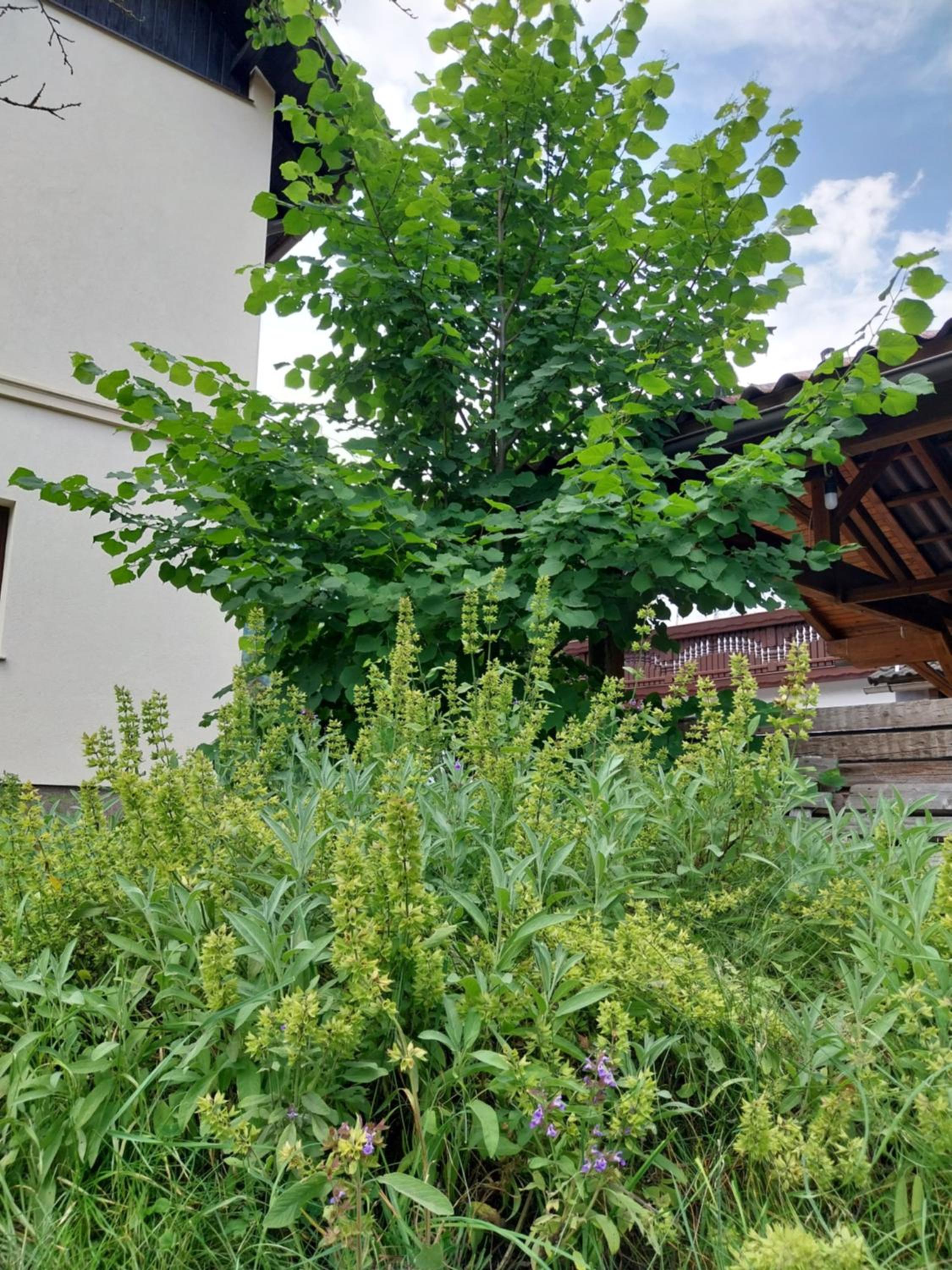 Apartma Praprot