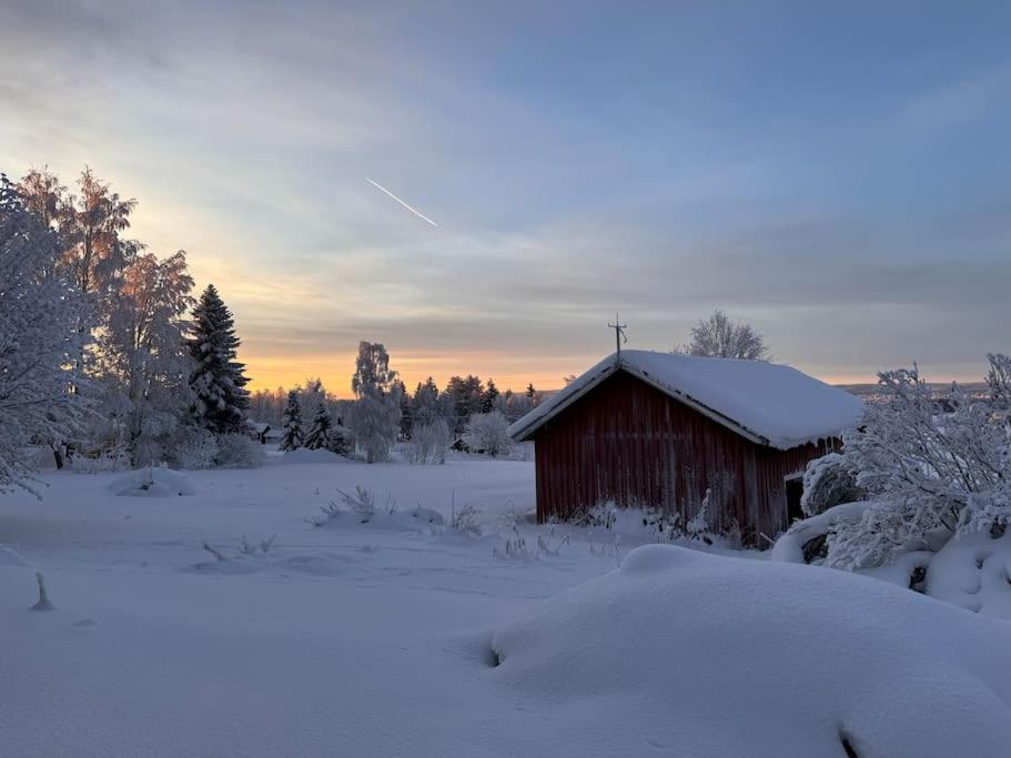 Perinteikäs 3 makuuhuoneen koti