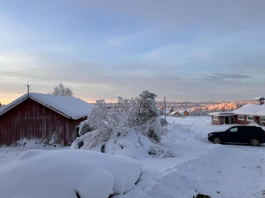 Perinteikäs 3 makuuhuoneen koti