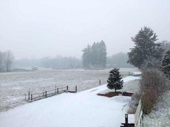 Cascina in Alto Piemonte / Piedmont countryhouse view 5