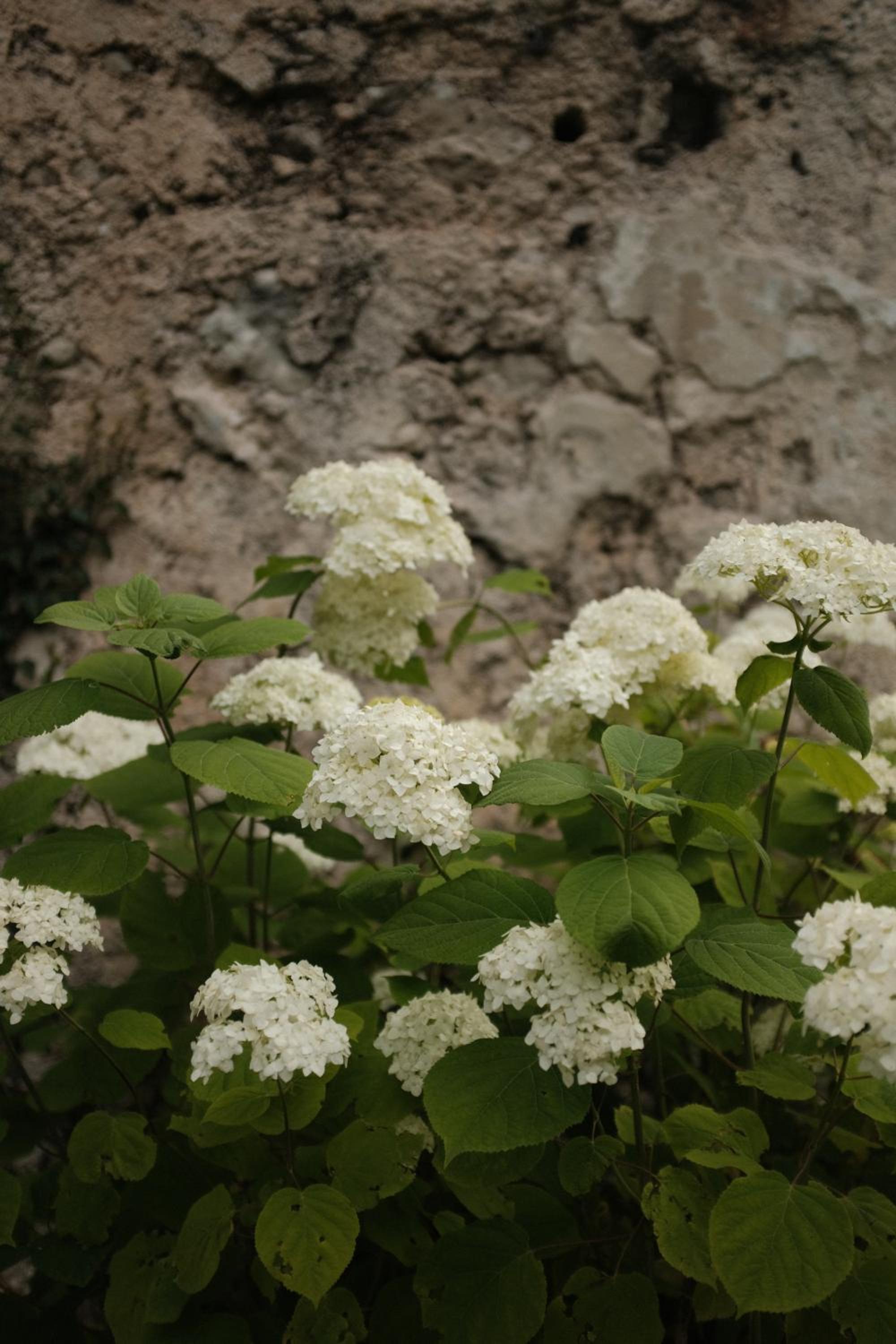 Photo 32