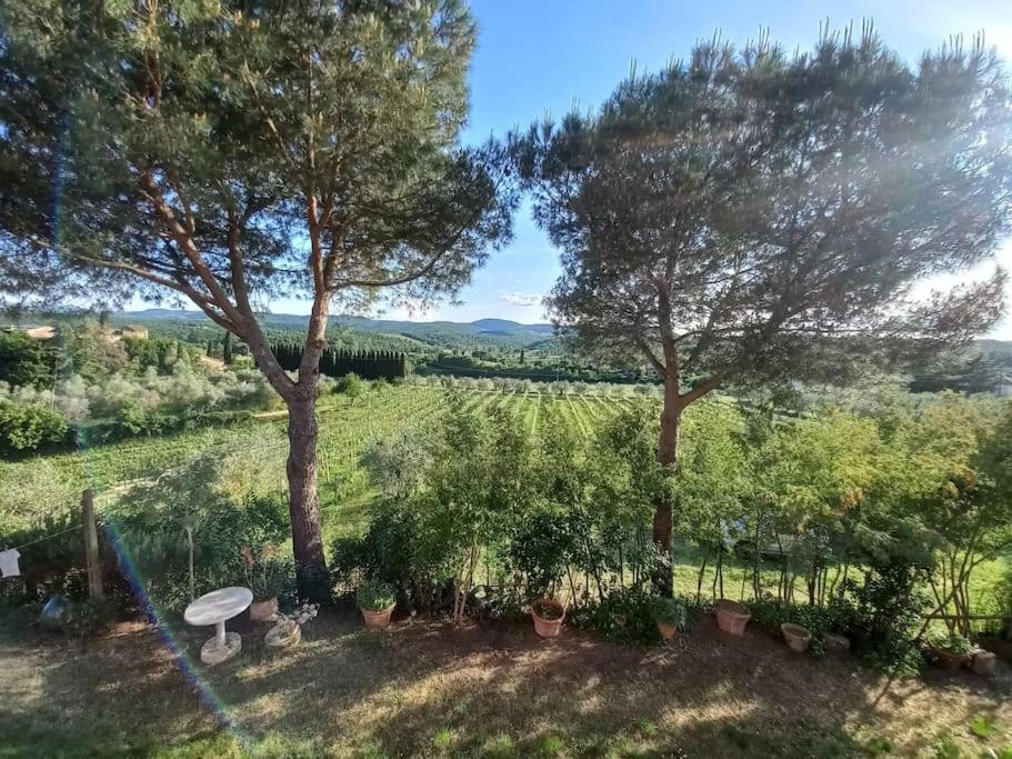Podere Campanella