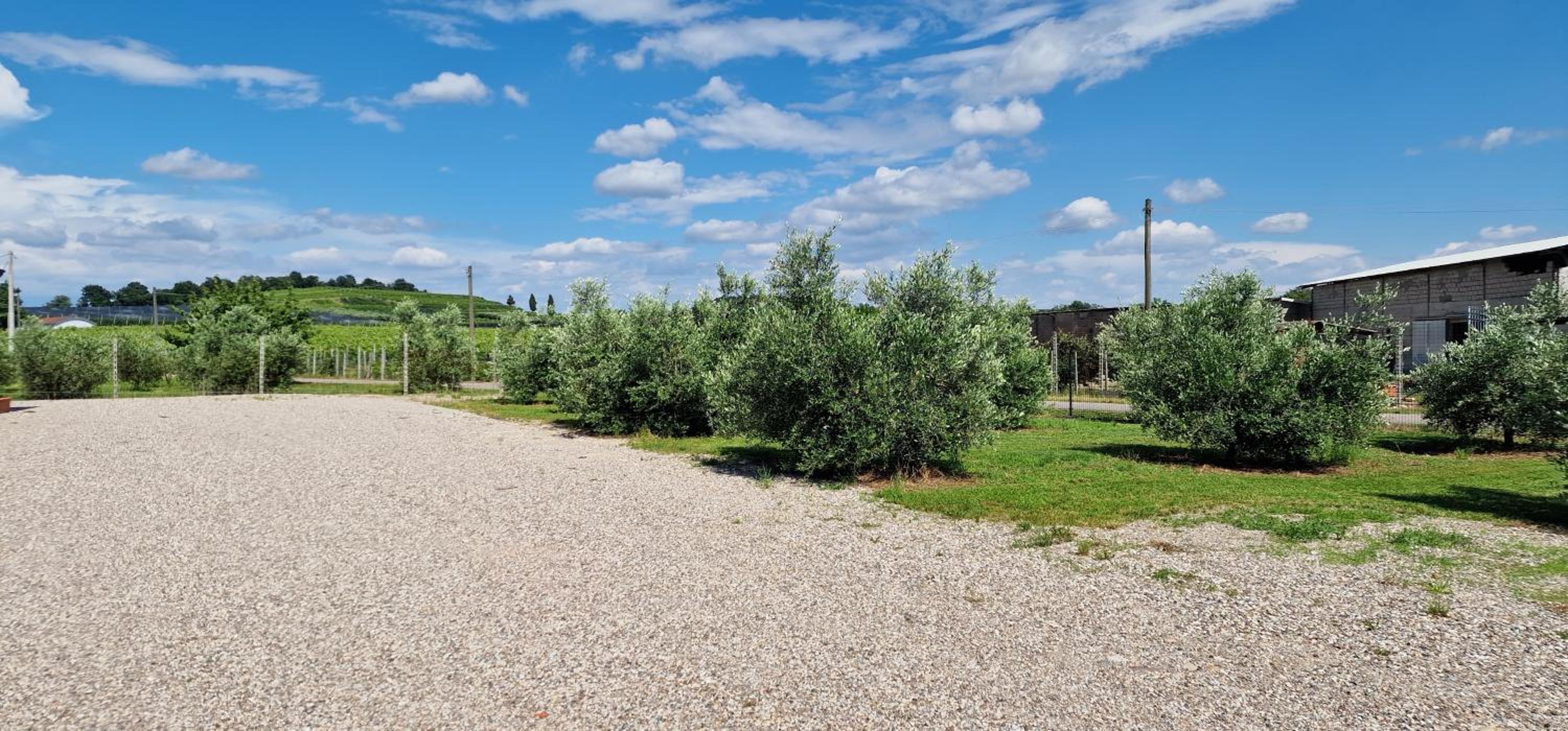 AGRITURISMO INCANTO