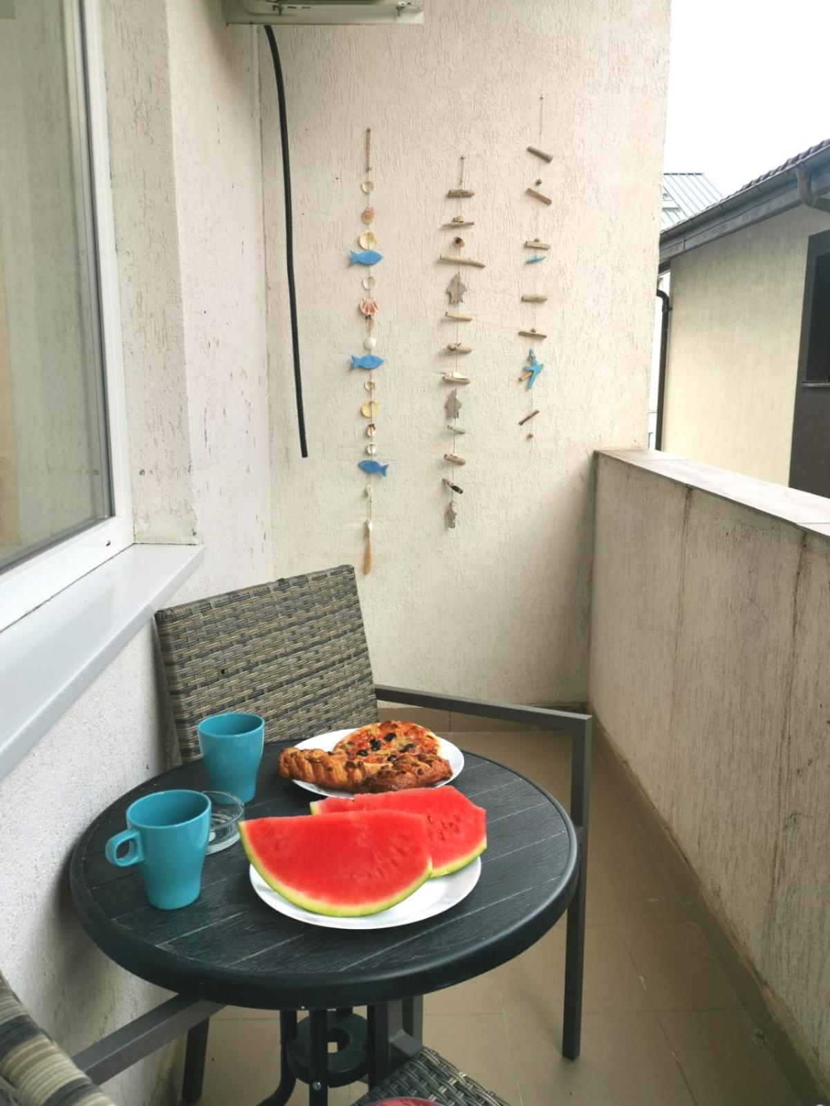 Zenovis apartament view 5