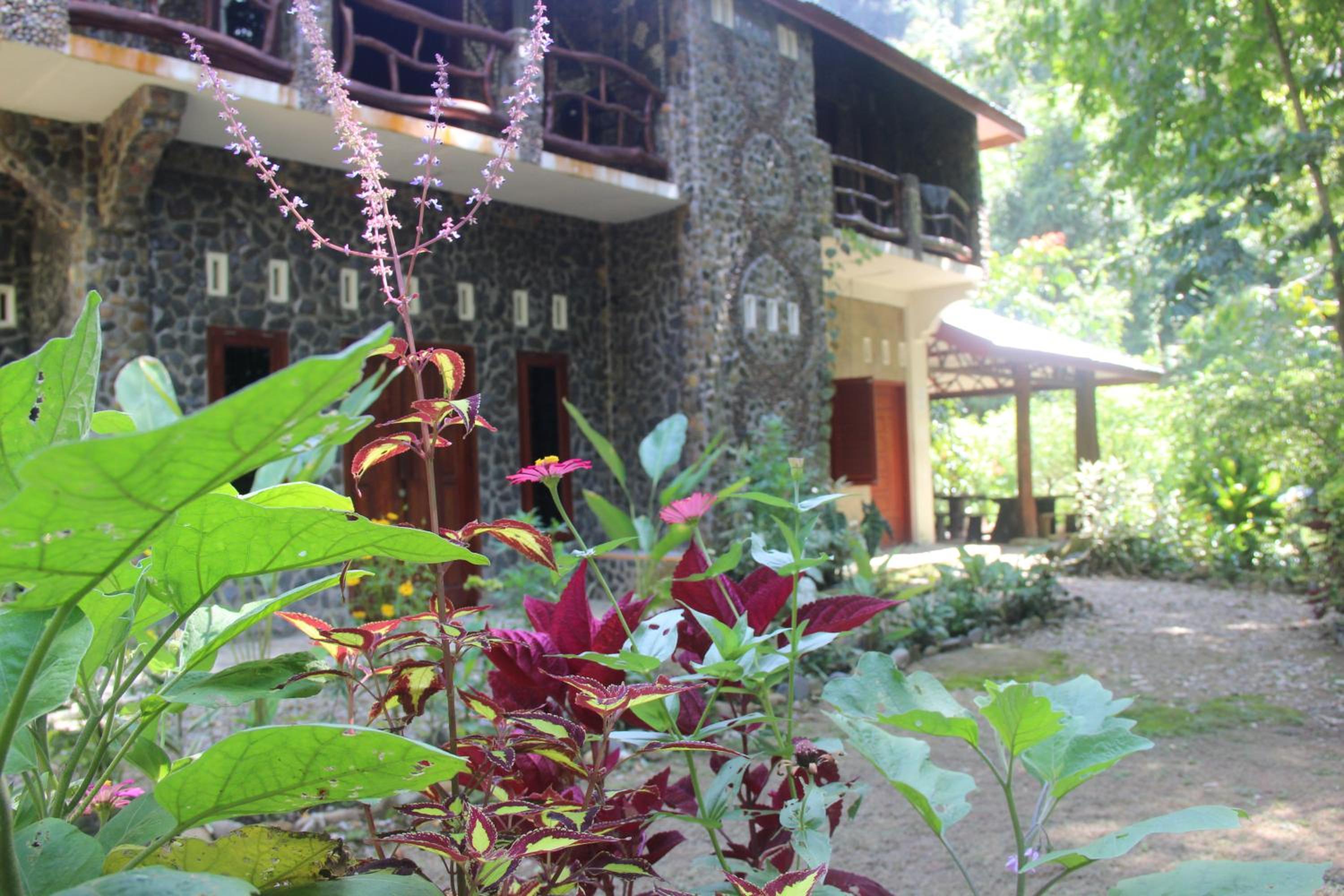 Rinte Green Village & Bukit Lawang Jungle Trekking view 5