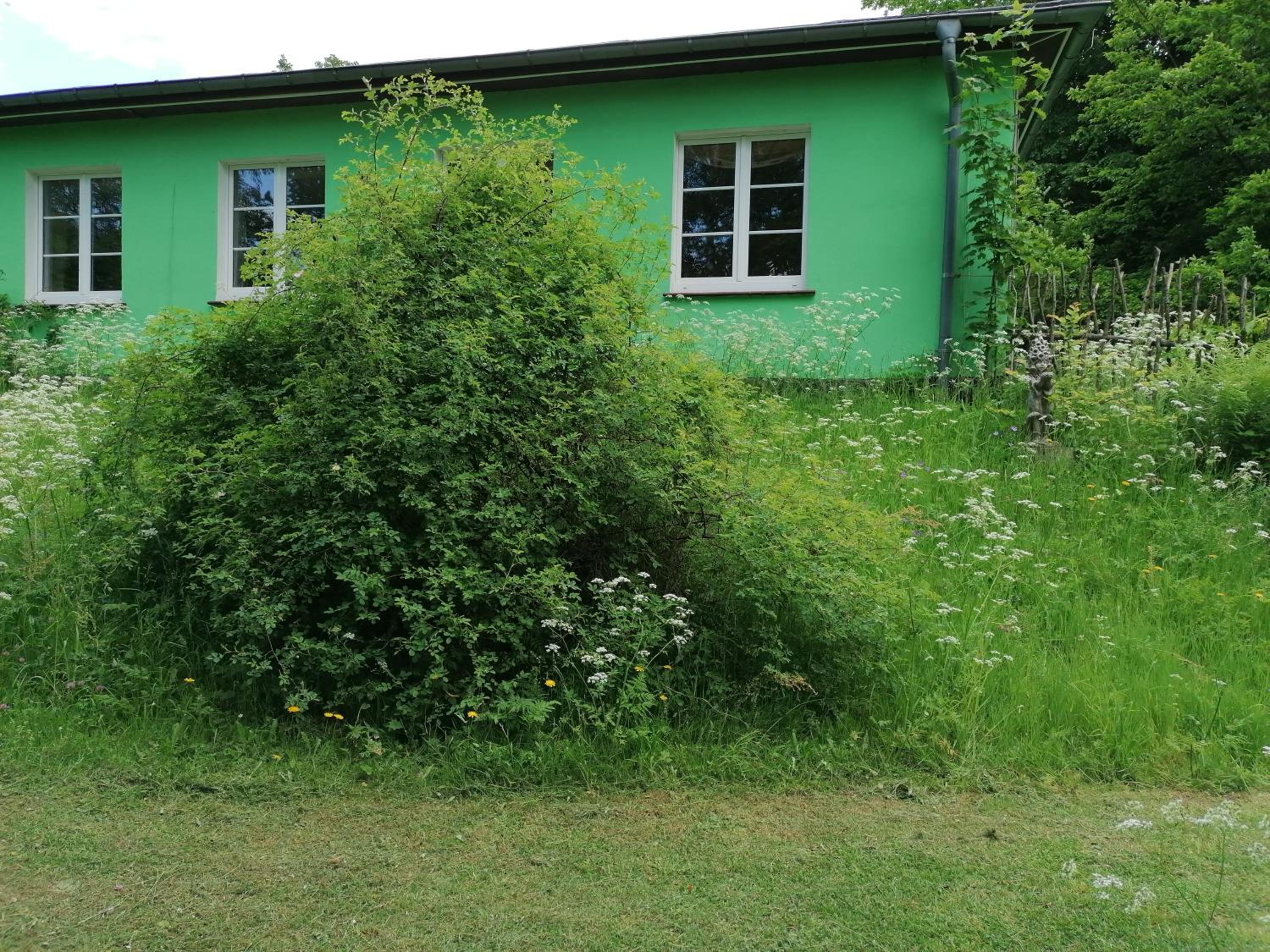 Photo 61