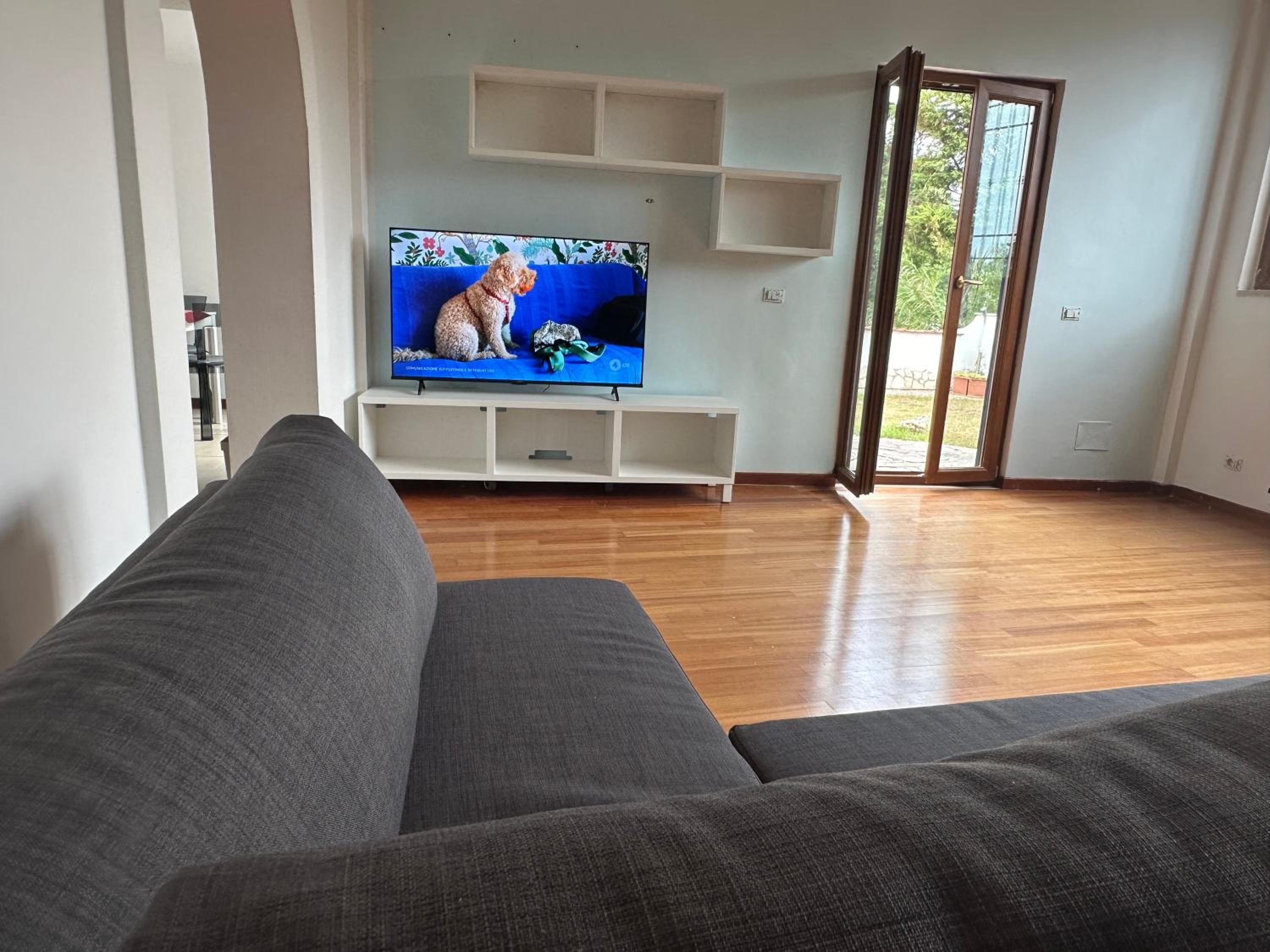 Photo 11