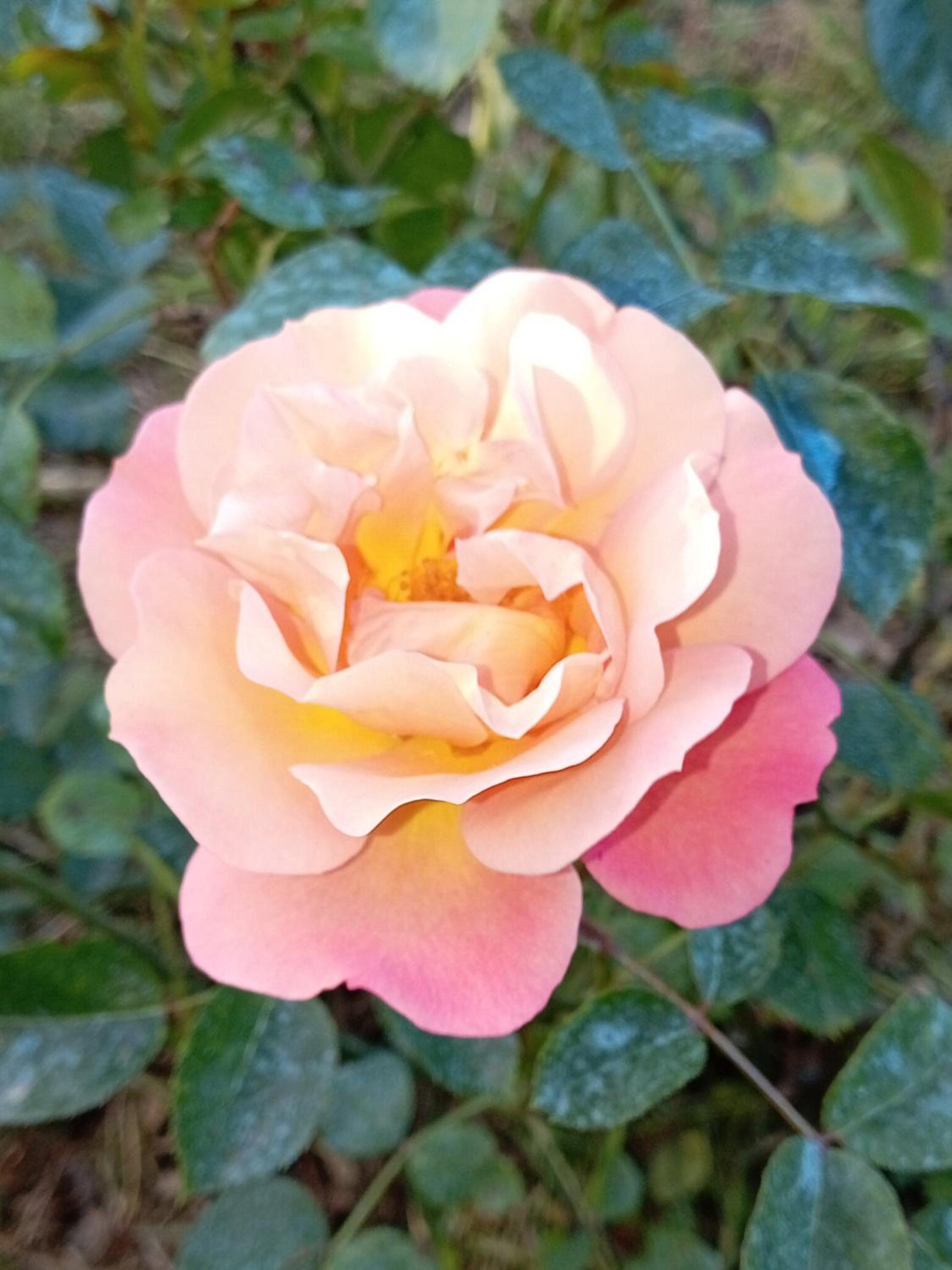Photo 16