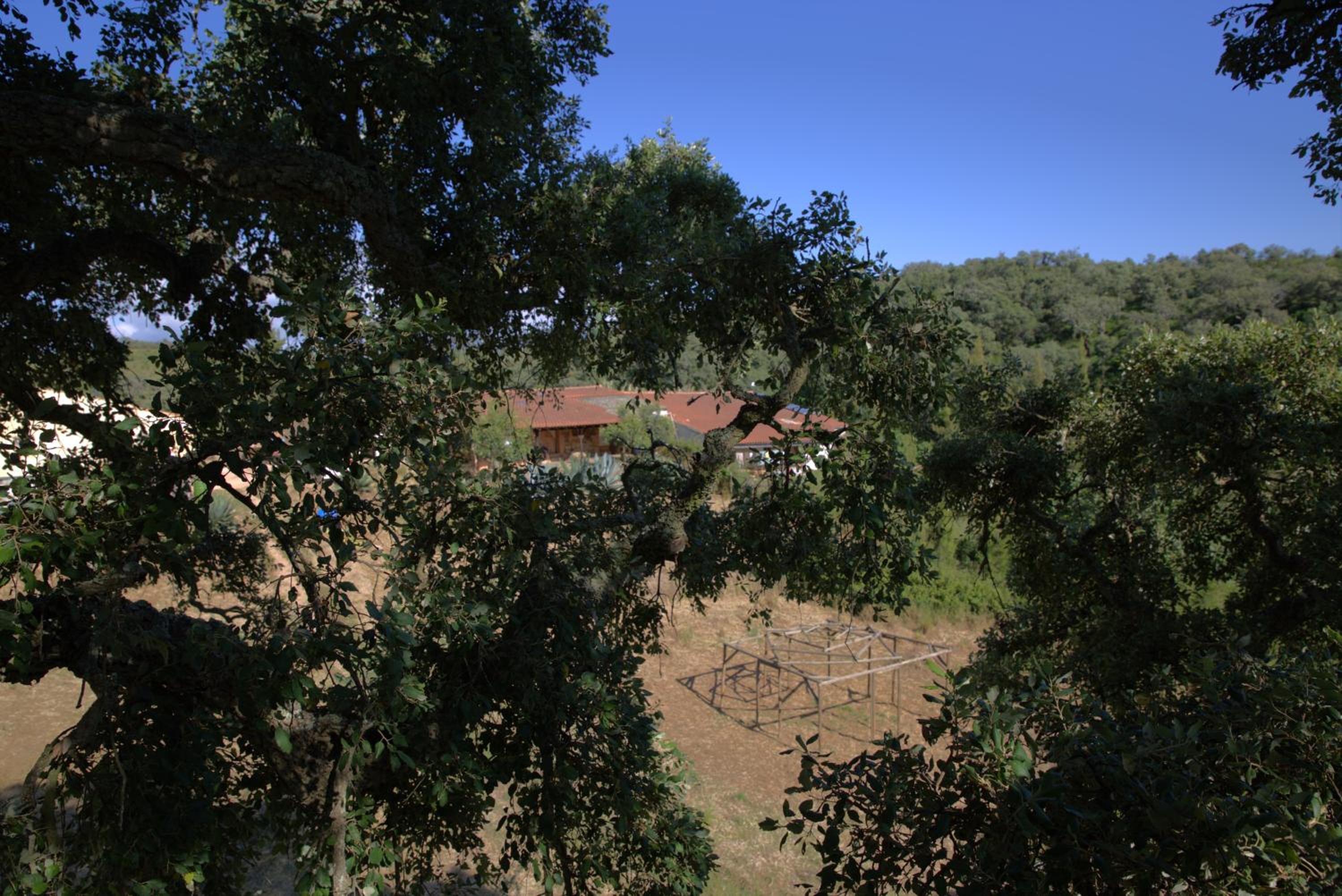 Photo 24