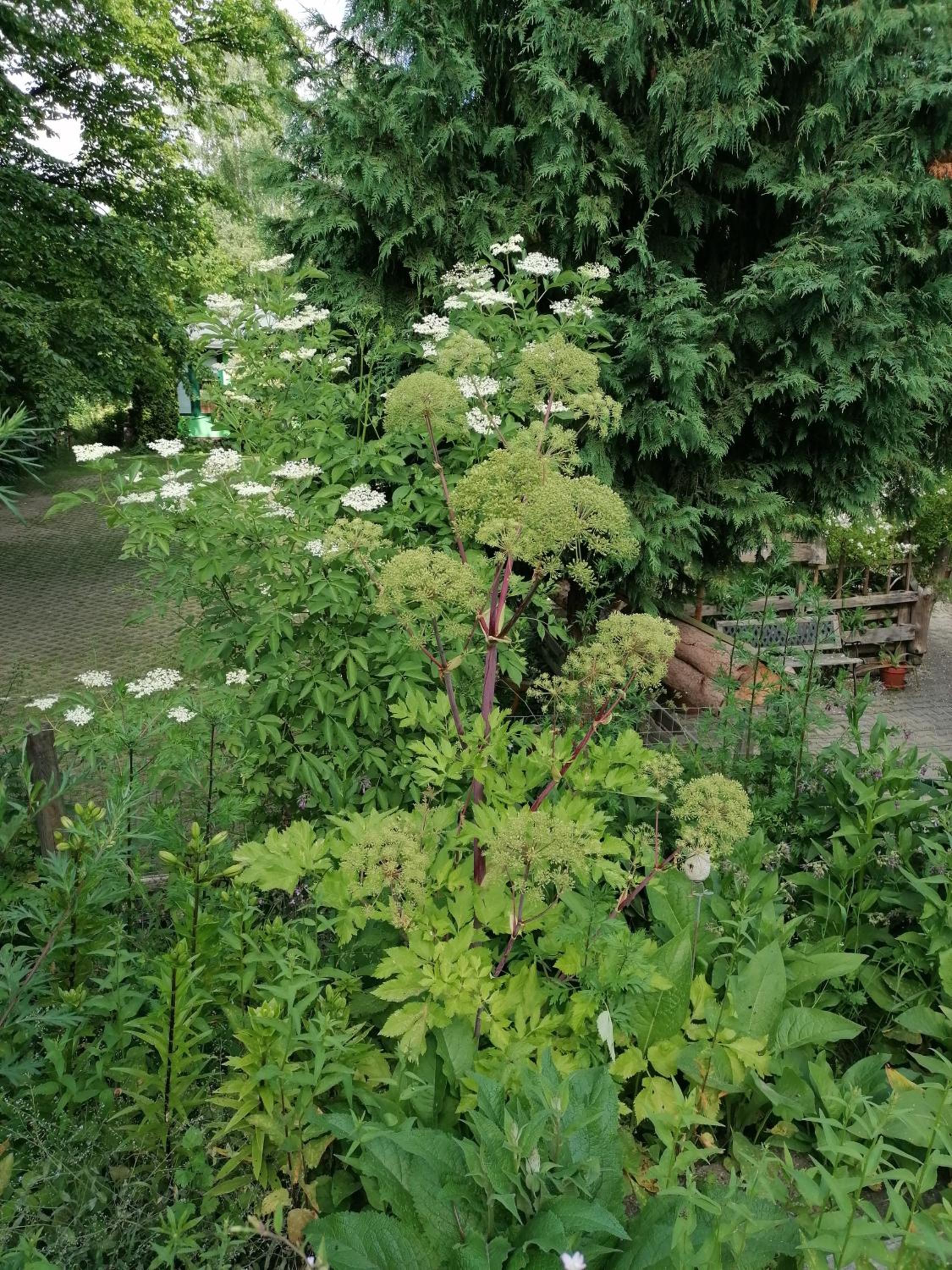 Photo 51