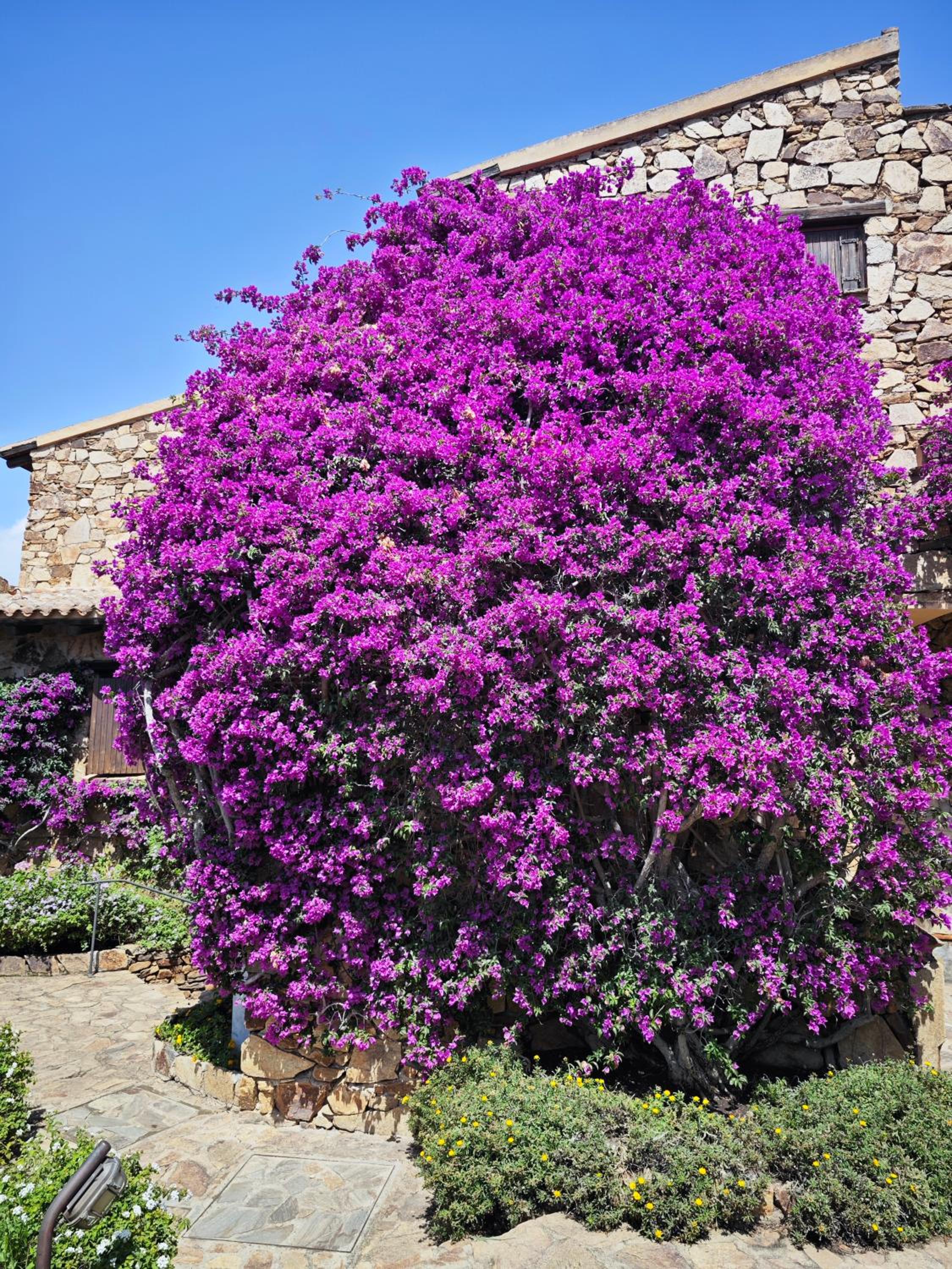 Vista Smeralda
