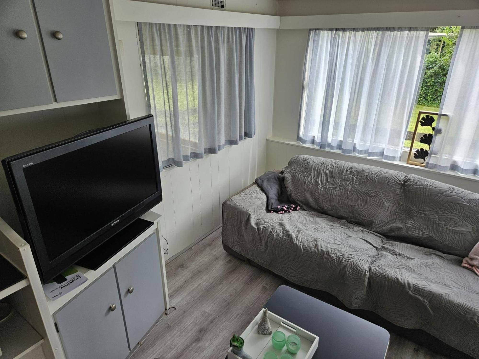 Beerze Chalet view 2