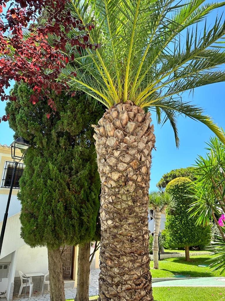 El Rincon Vera Costa