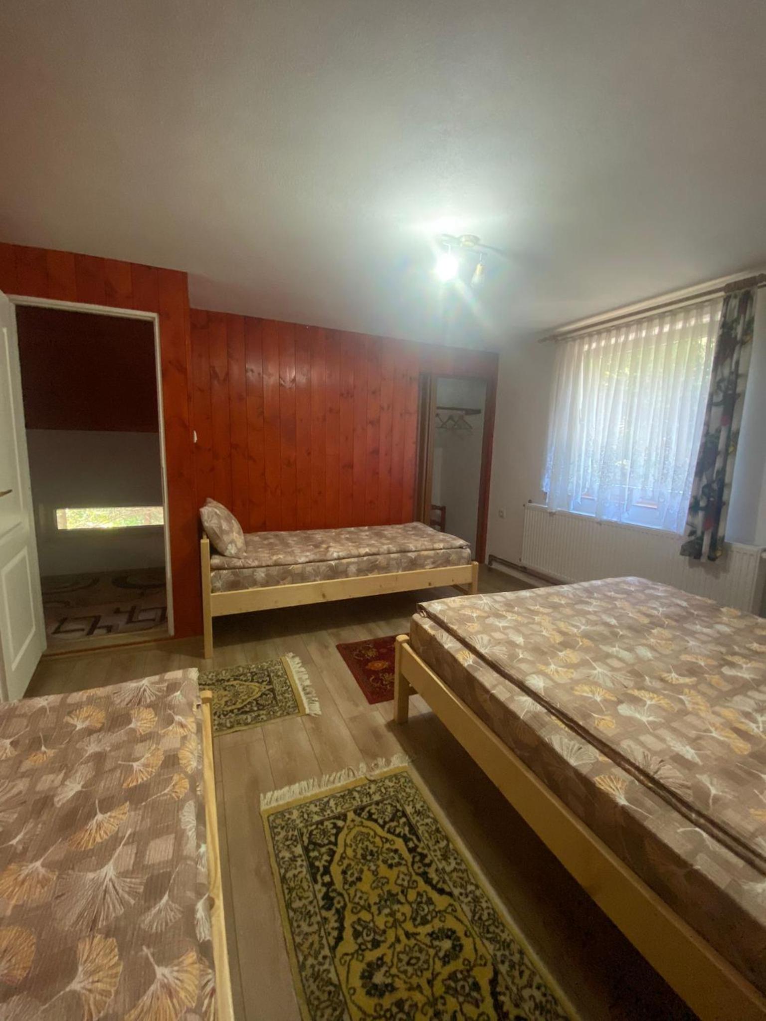 Cabana veverita