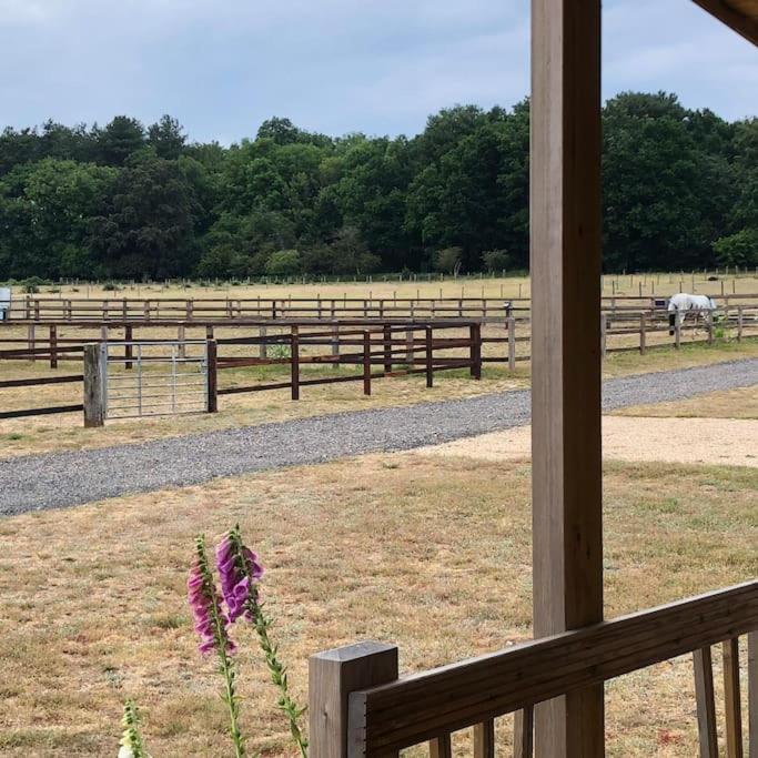 Nightingale Lodge - Adults Only view 4