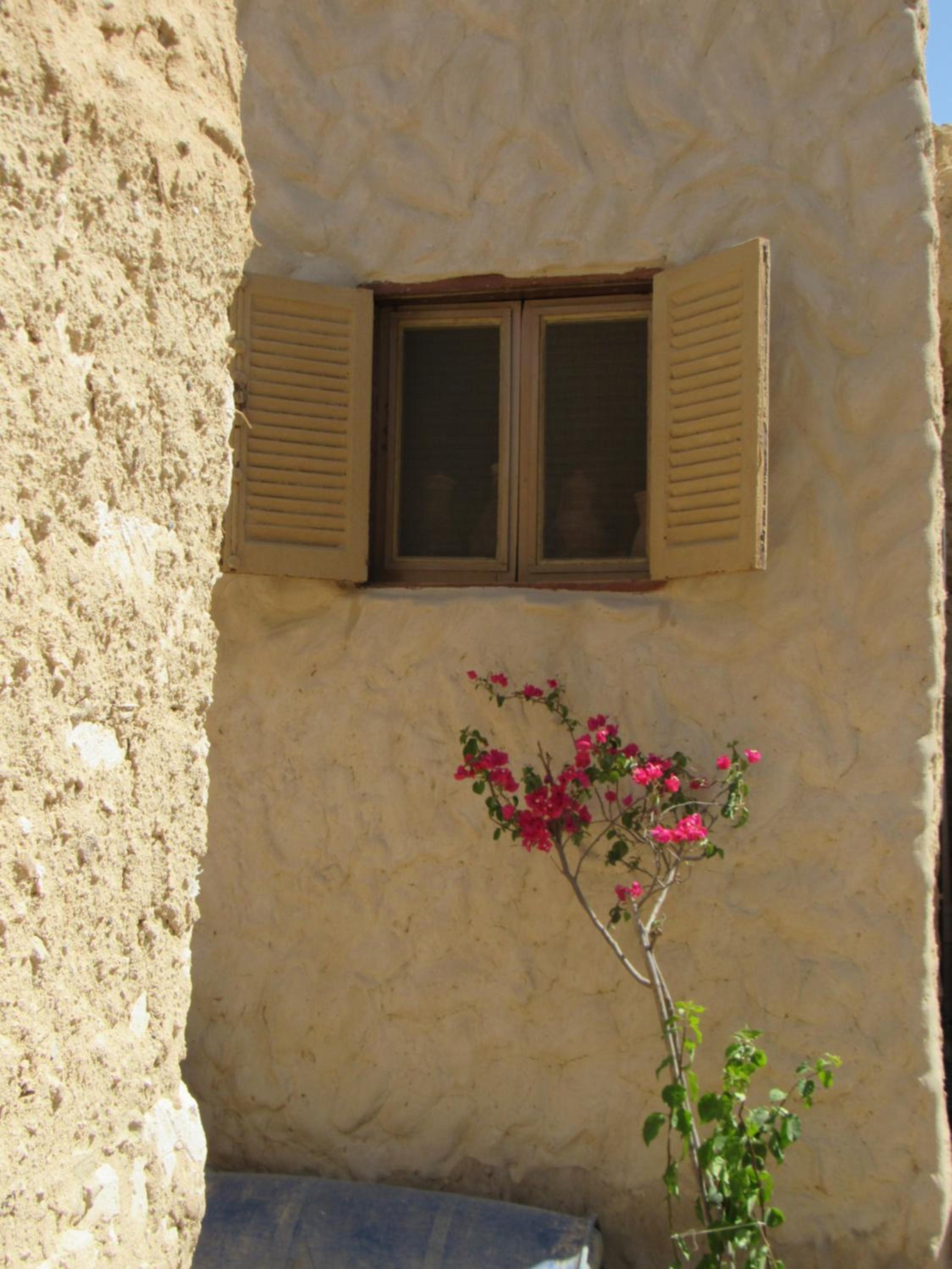 Lotus House