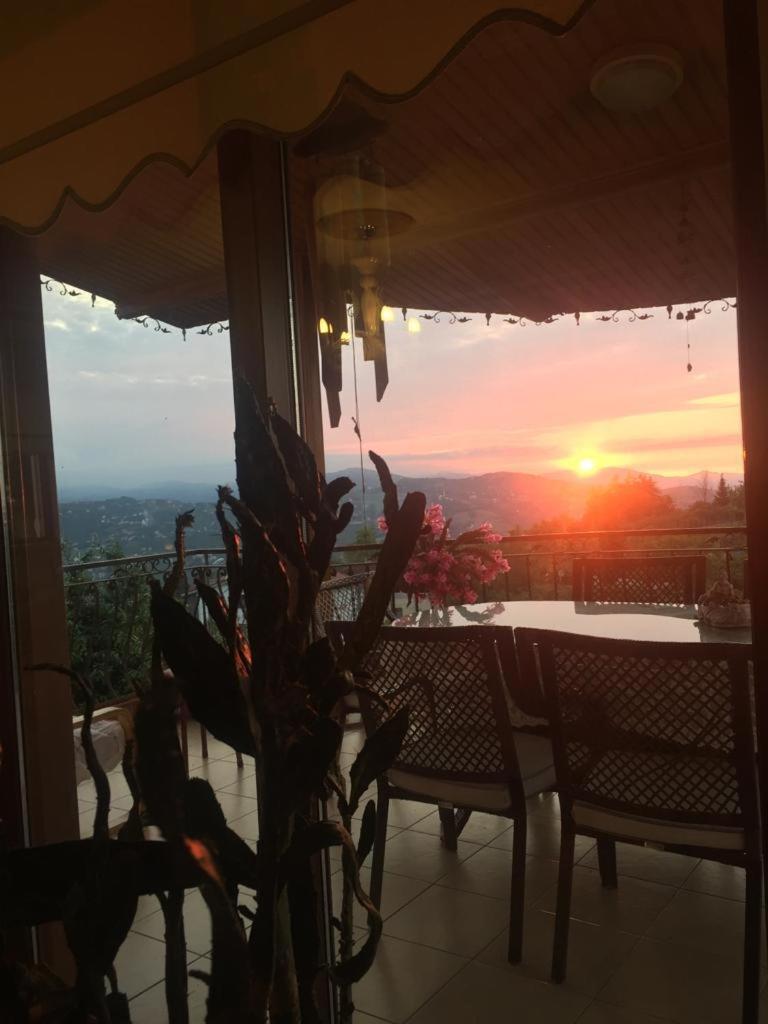 Suleyman's House view 2