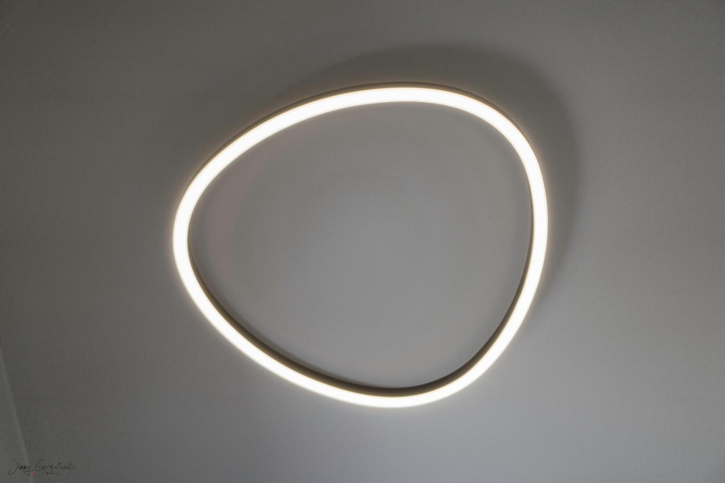 Anemoami