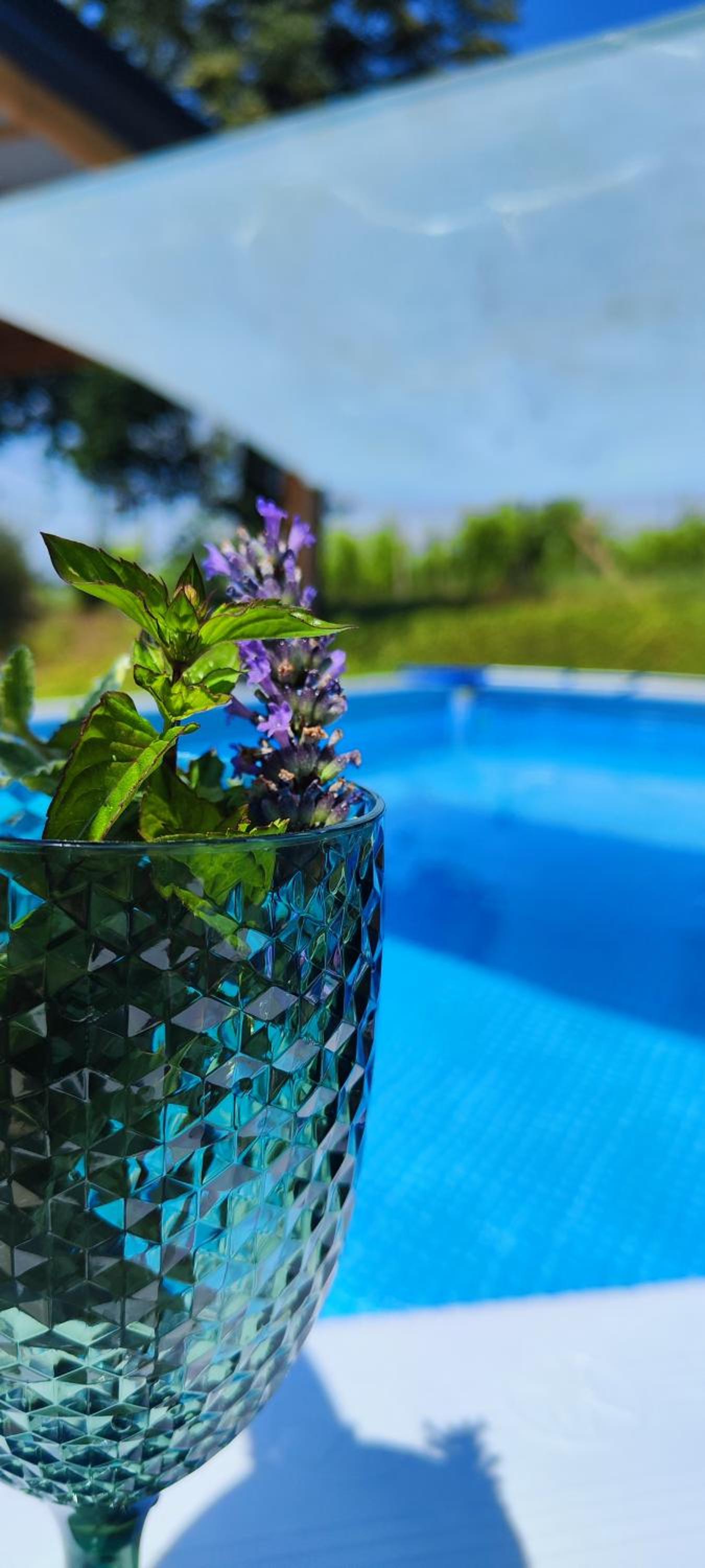 Tweet Apartments with Sauna and optional Breakfast Close To Terme Sveti Martin view 5