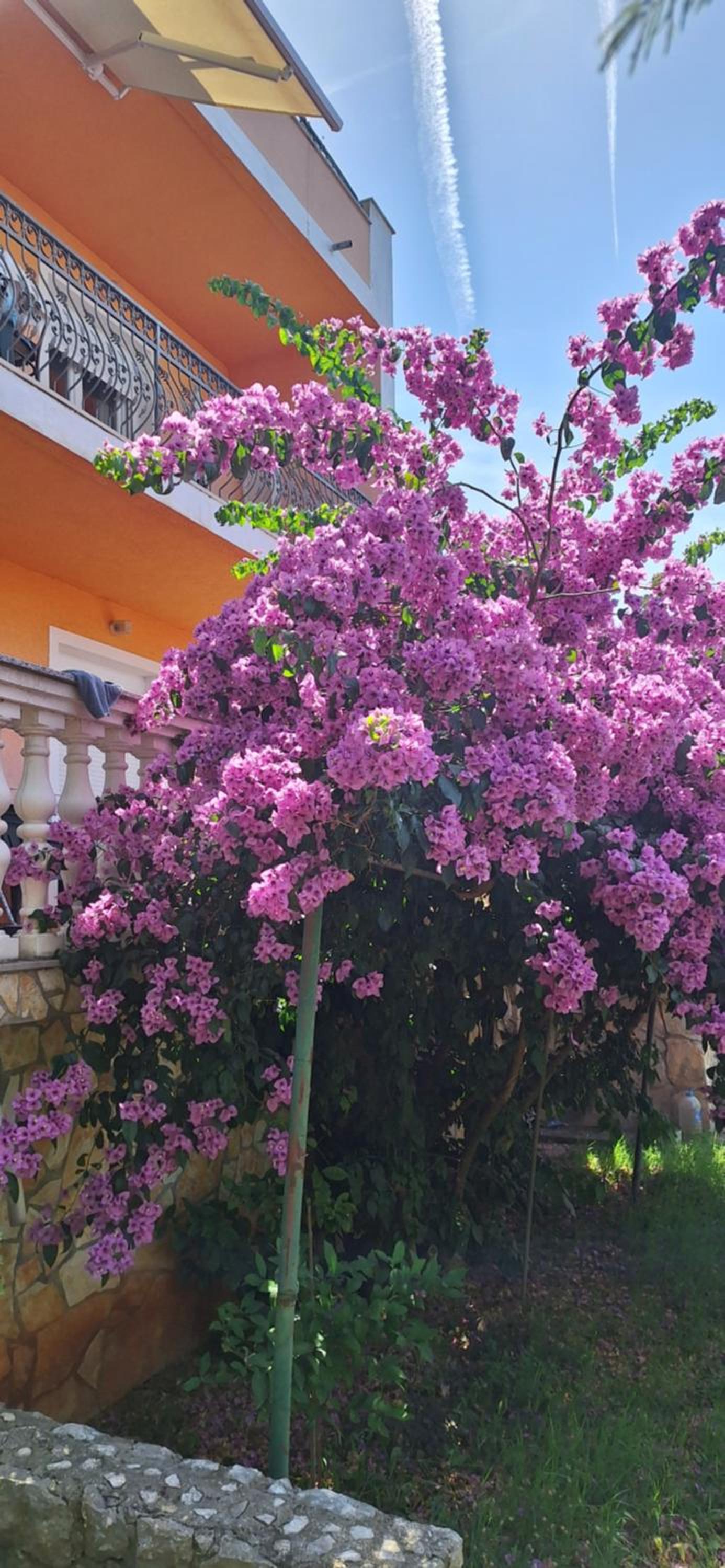Apartman Milka