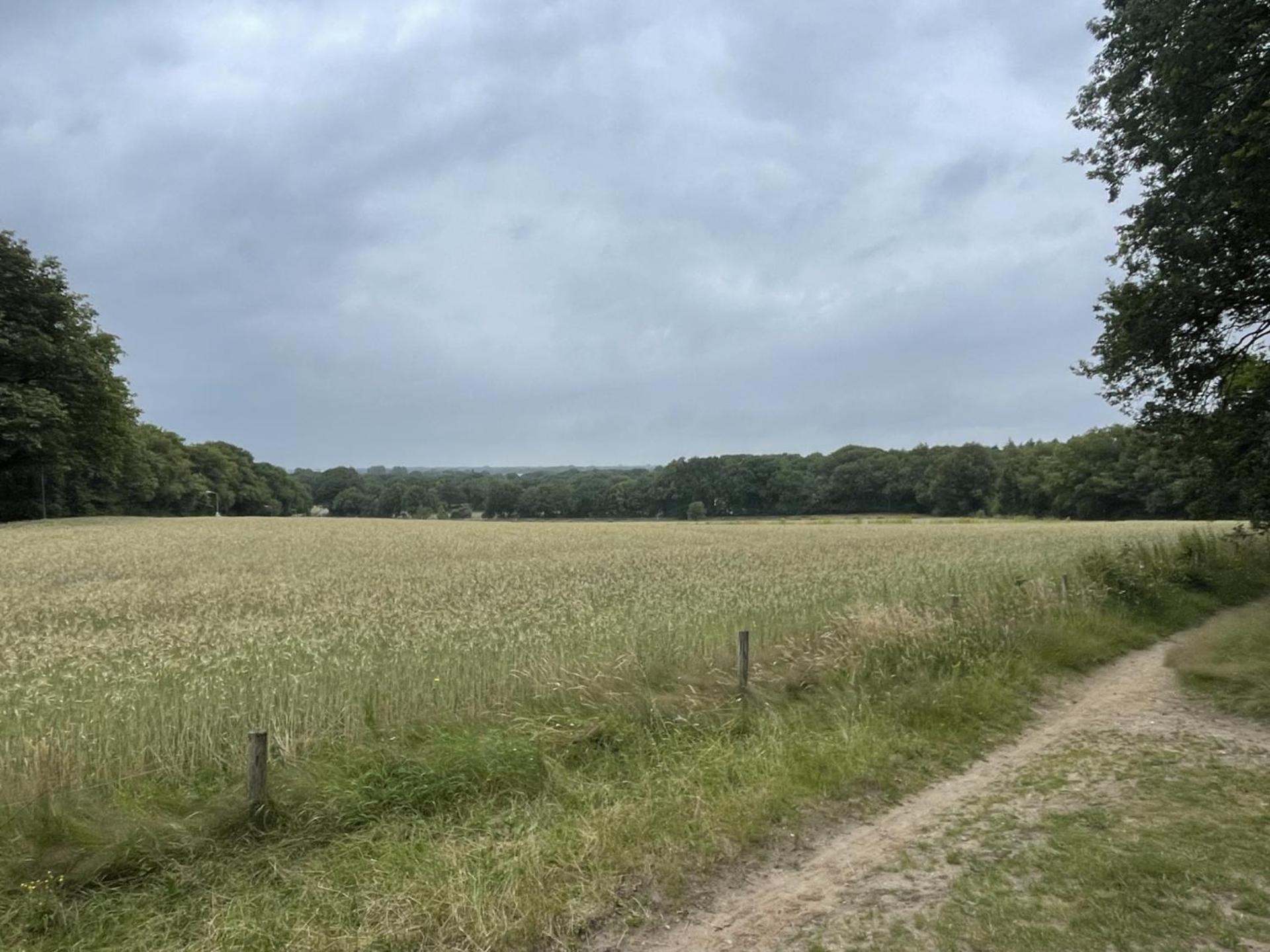 Boshuis Veluwe