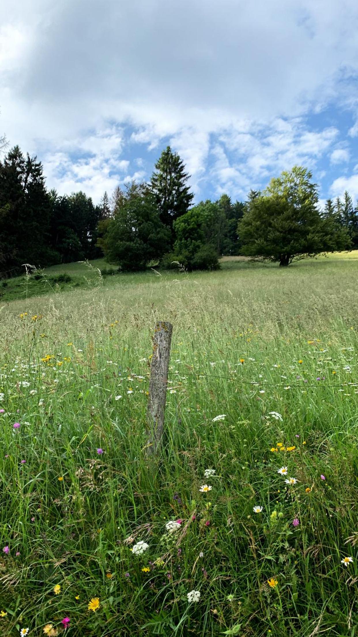 Apartment Boris Sveta Planina