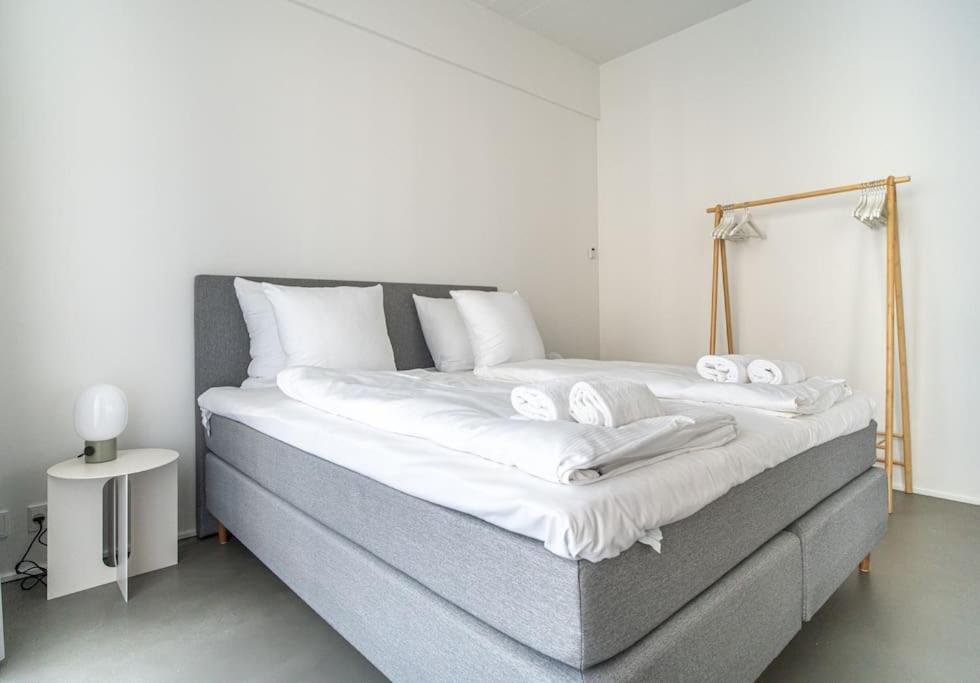 Scandinavian Premium Atelier - Spacious Comfort