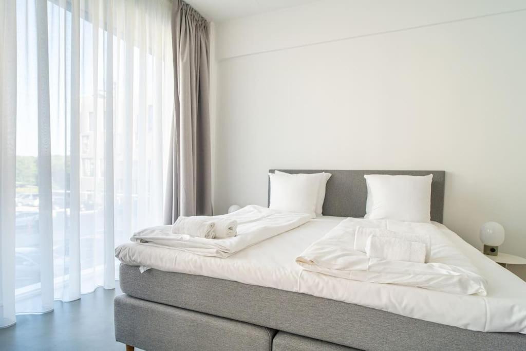 Scandinavian Premium Atelier - Spacious Comfort