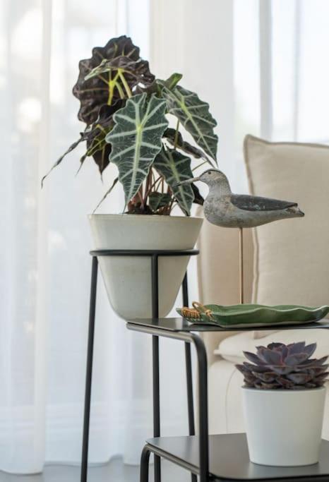 Scandinavian Premium Atelier - Spacious Comfort