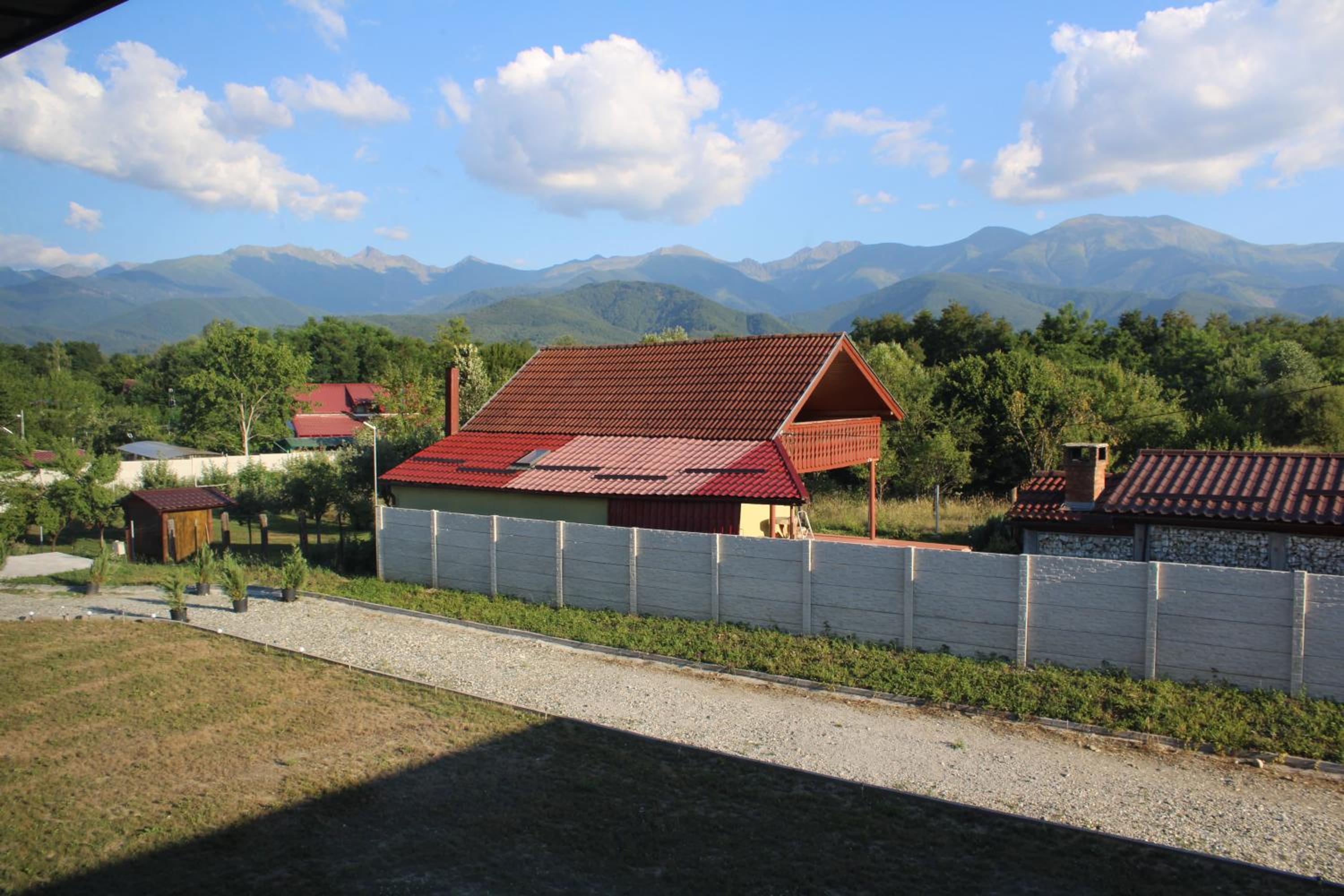 Photo 45