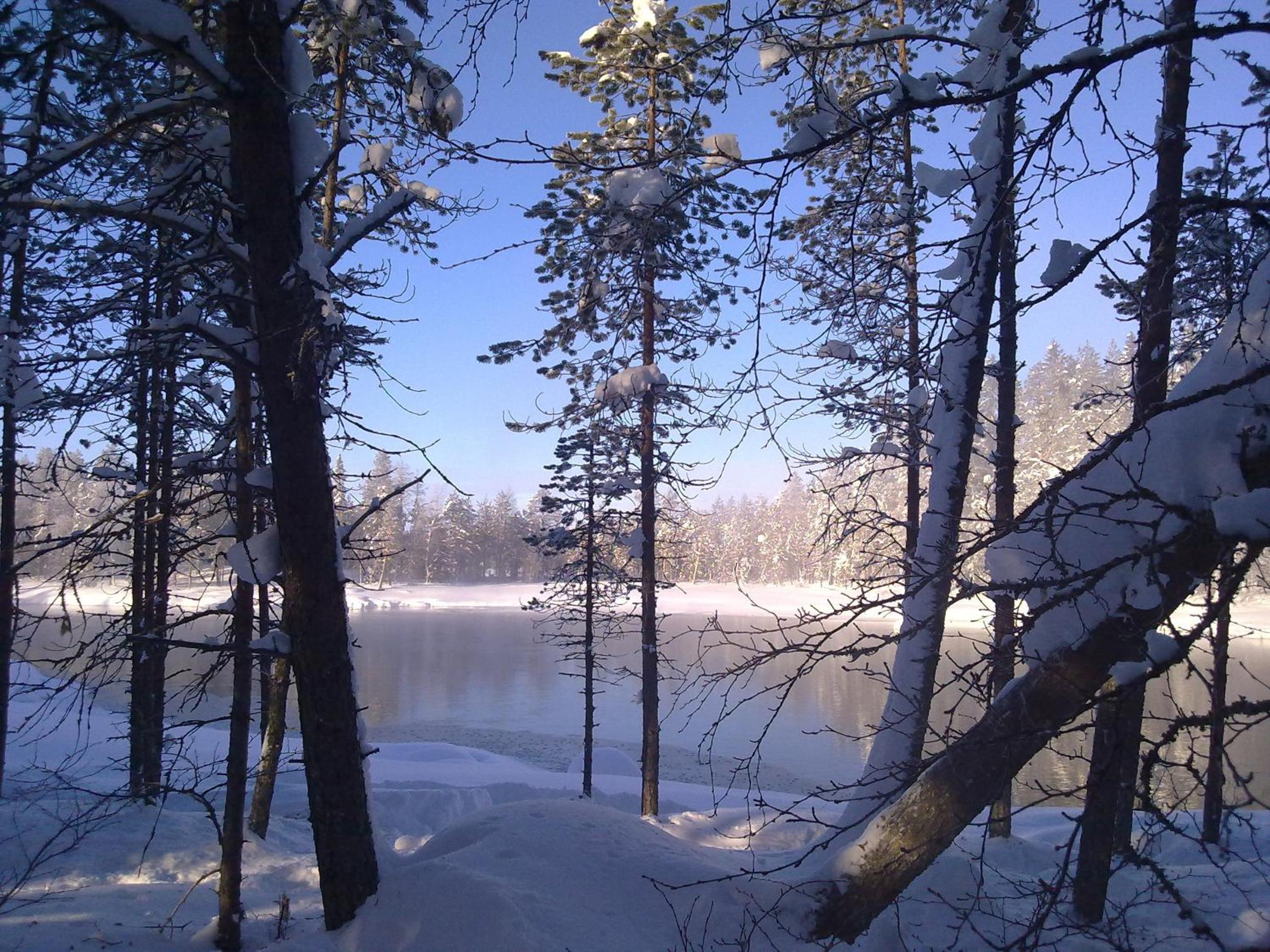 Photo 23