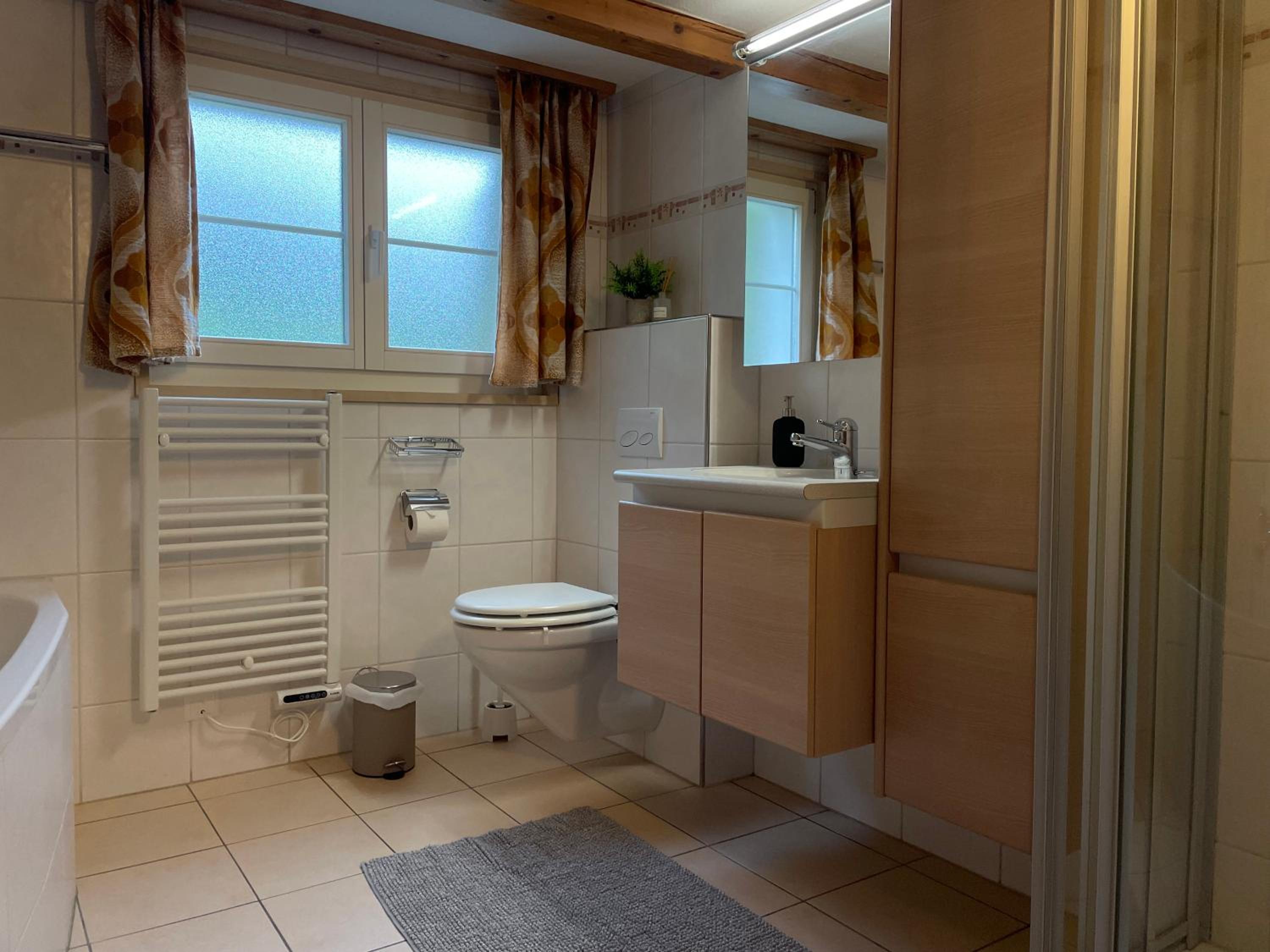 Apartment HasliView