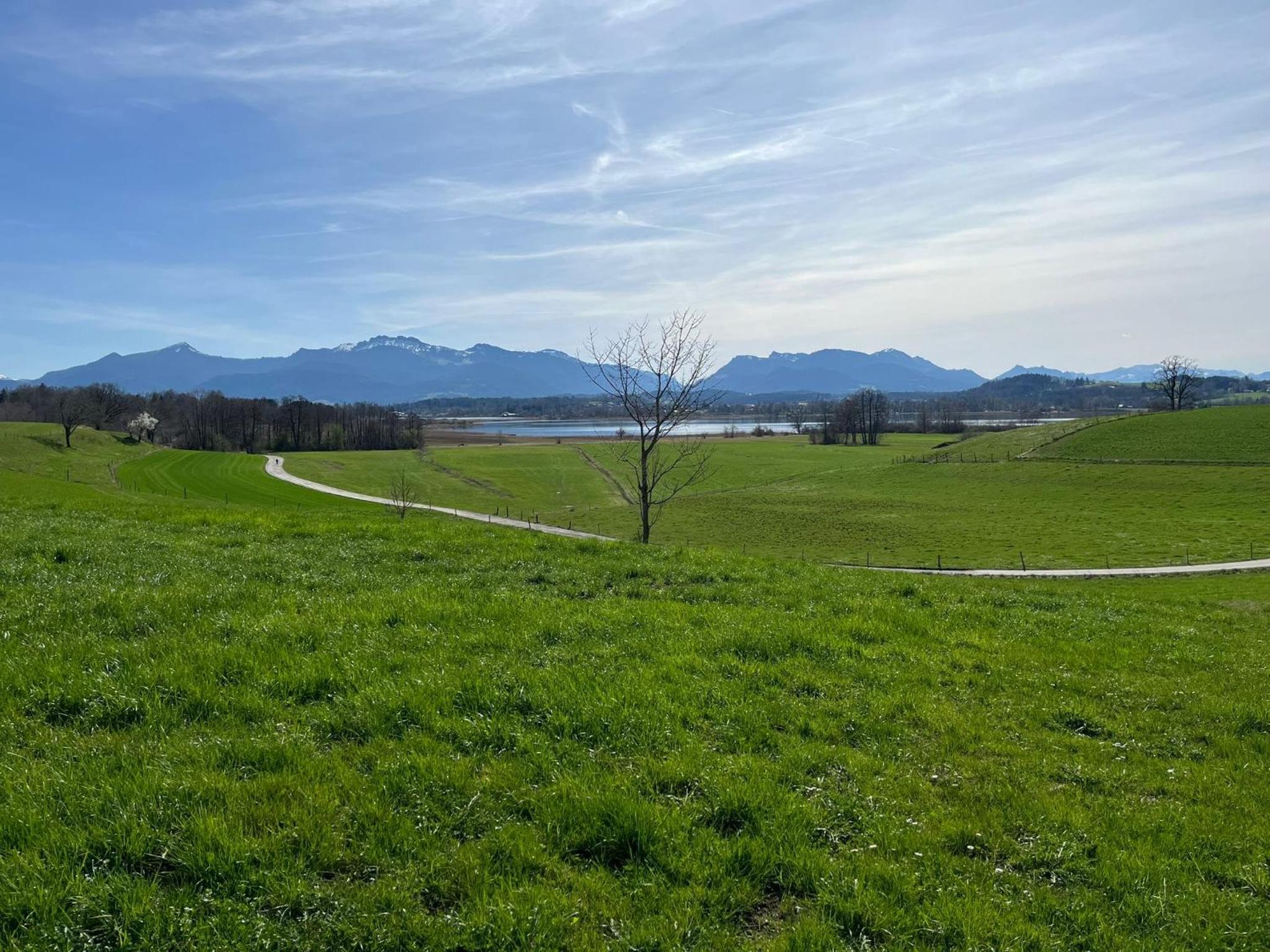 Appartement Liebhart