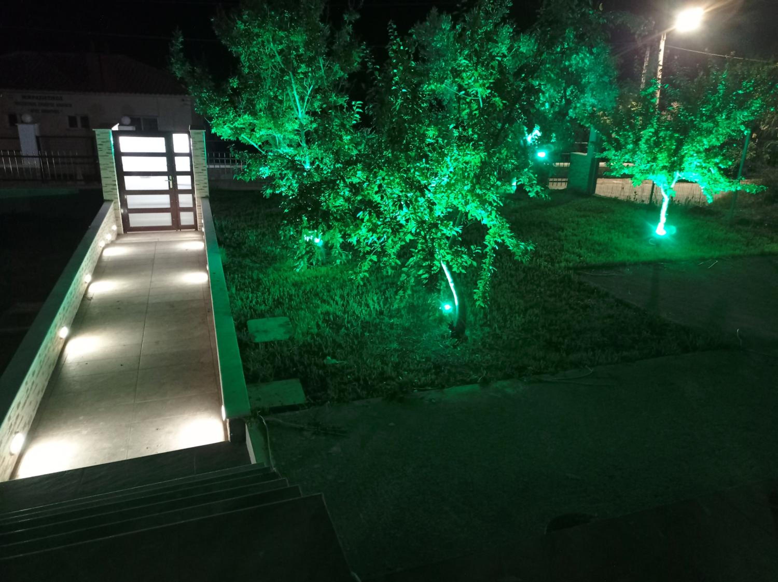 Photo 23