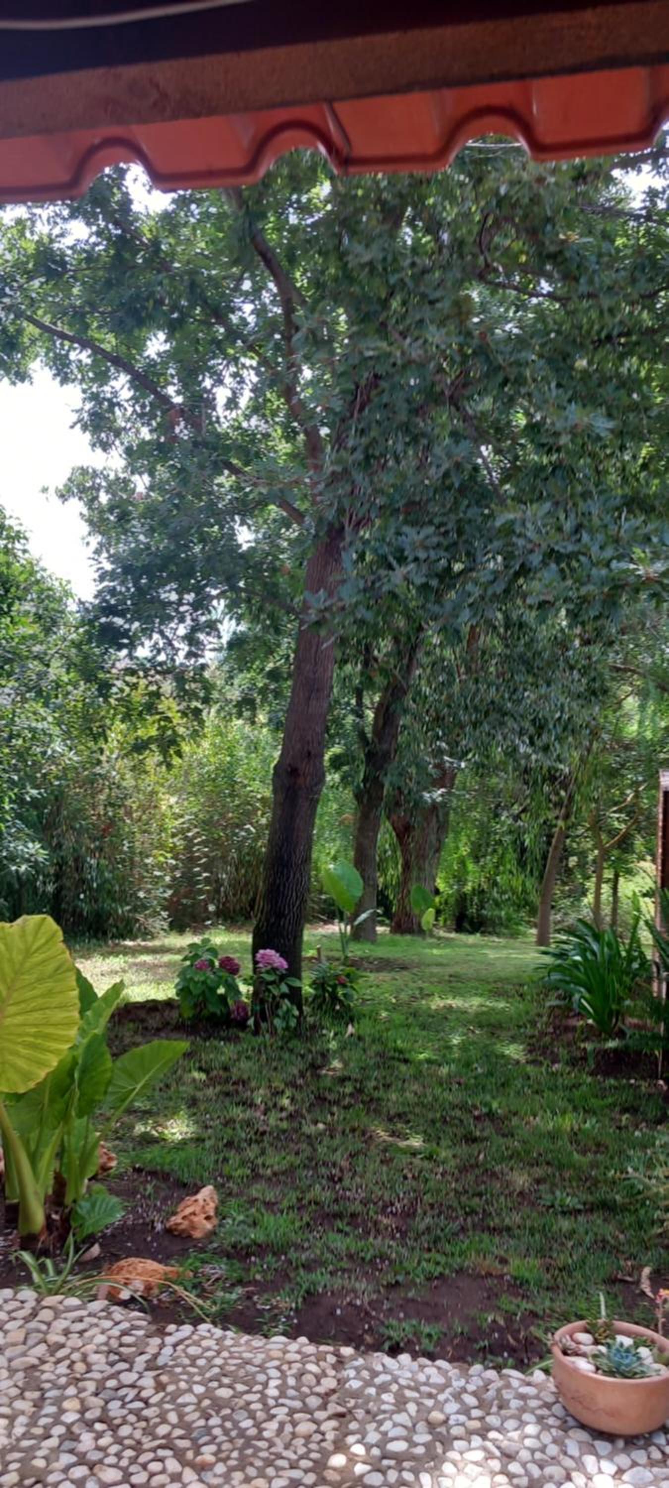 Il Casale Del Sogno