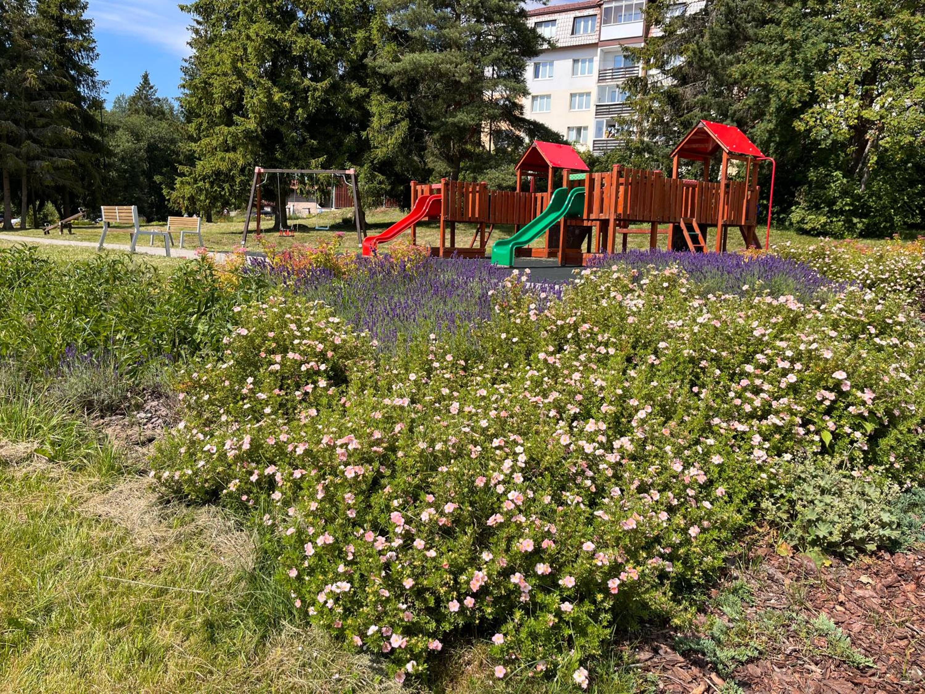 Photo 20