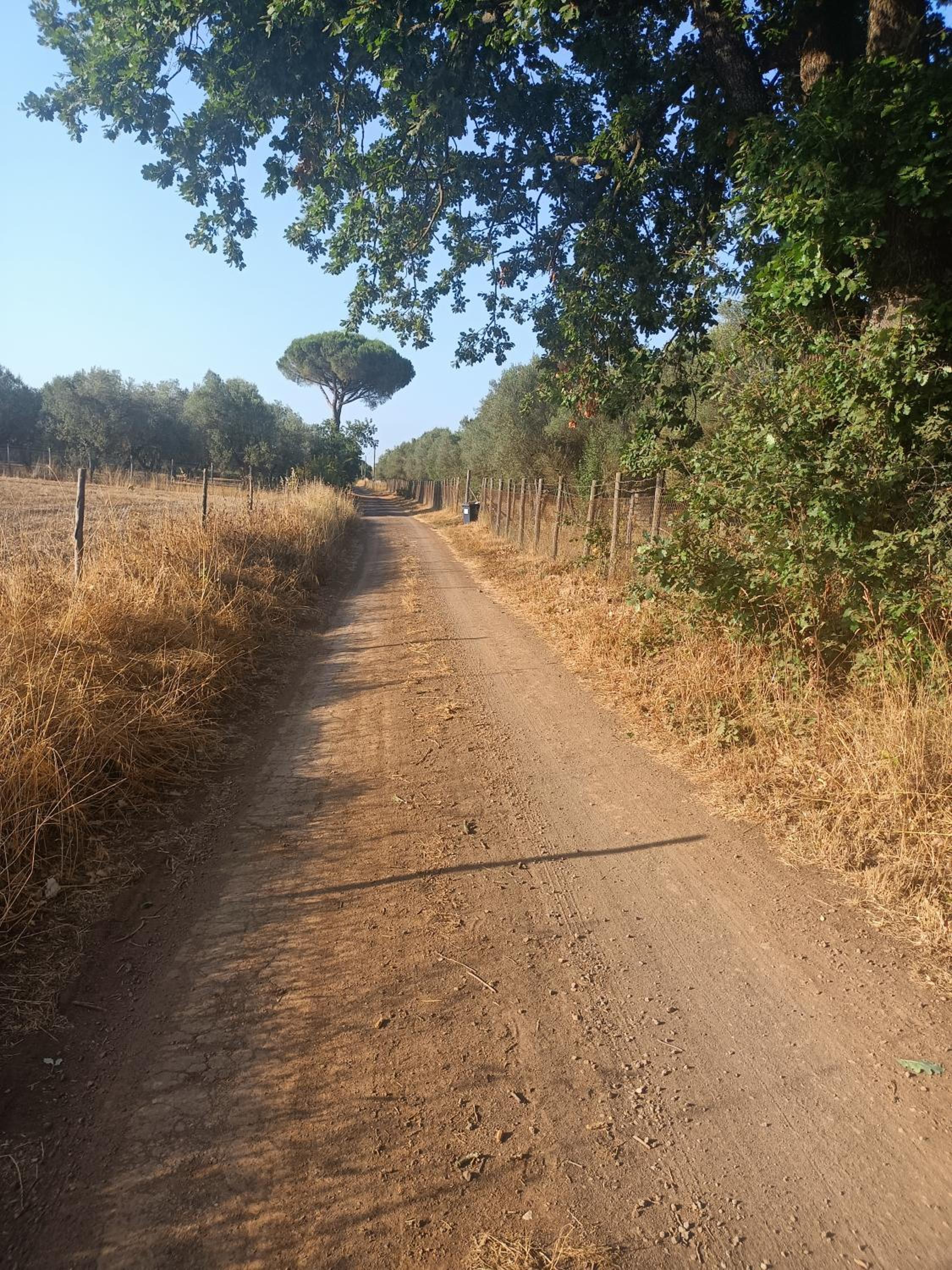 Il Giardino nell'Orto